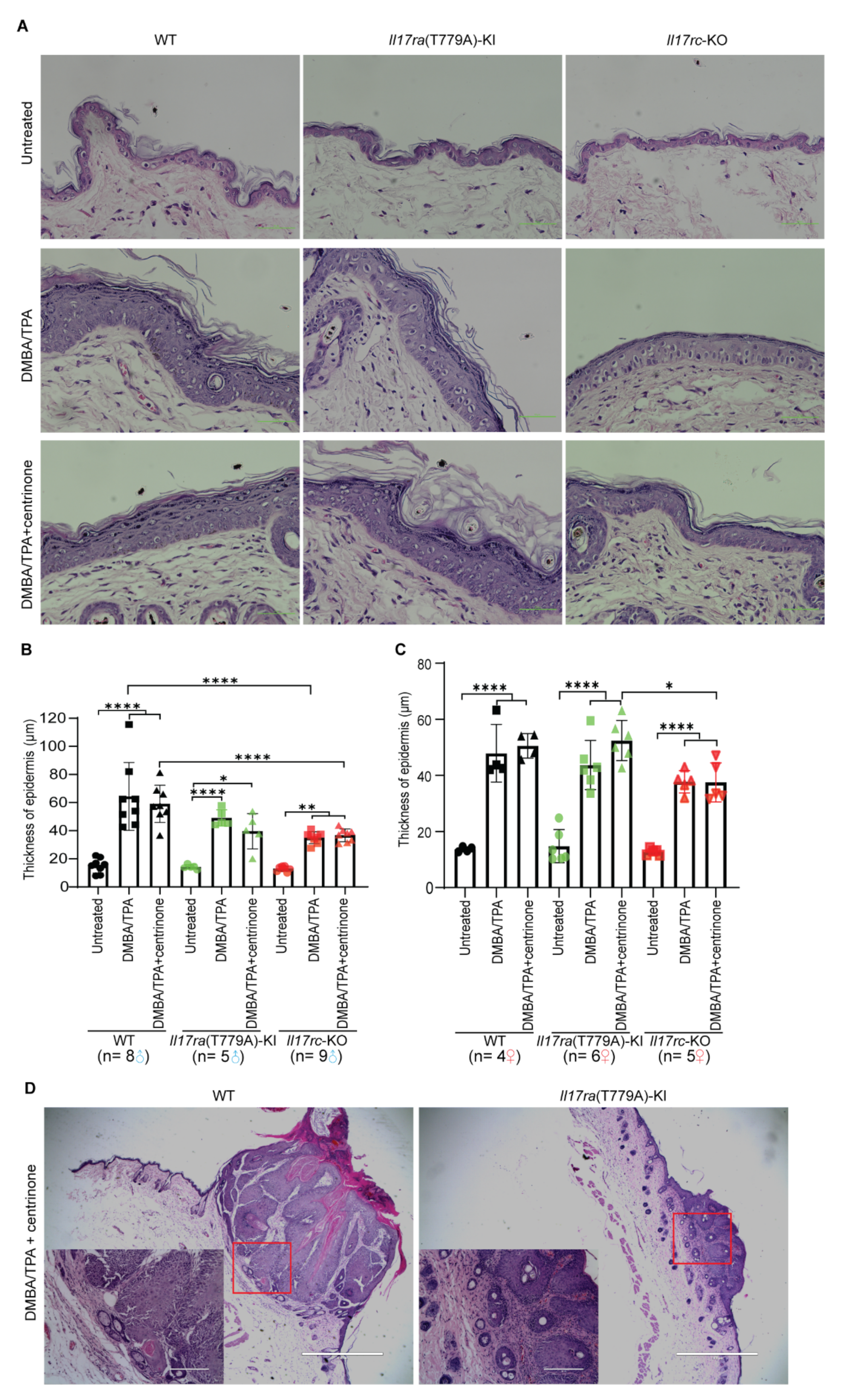 Biomedicines 10 01976 g007 550