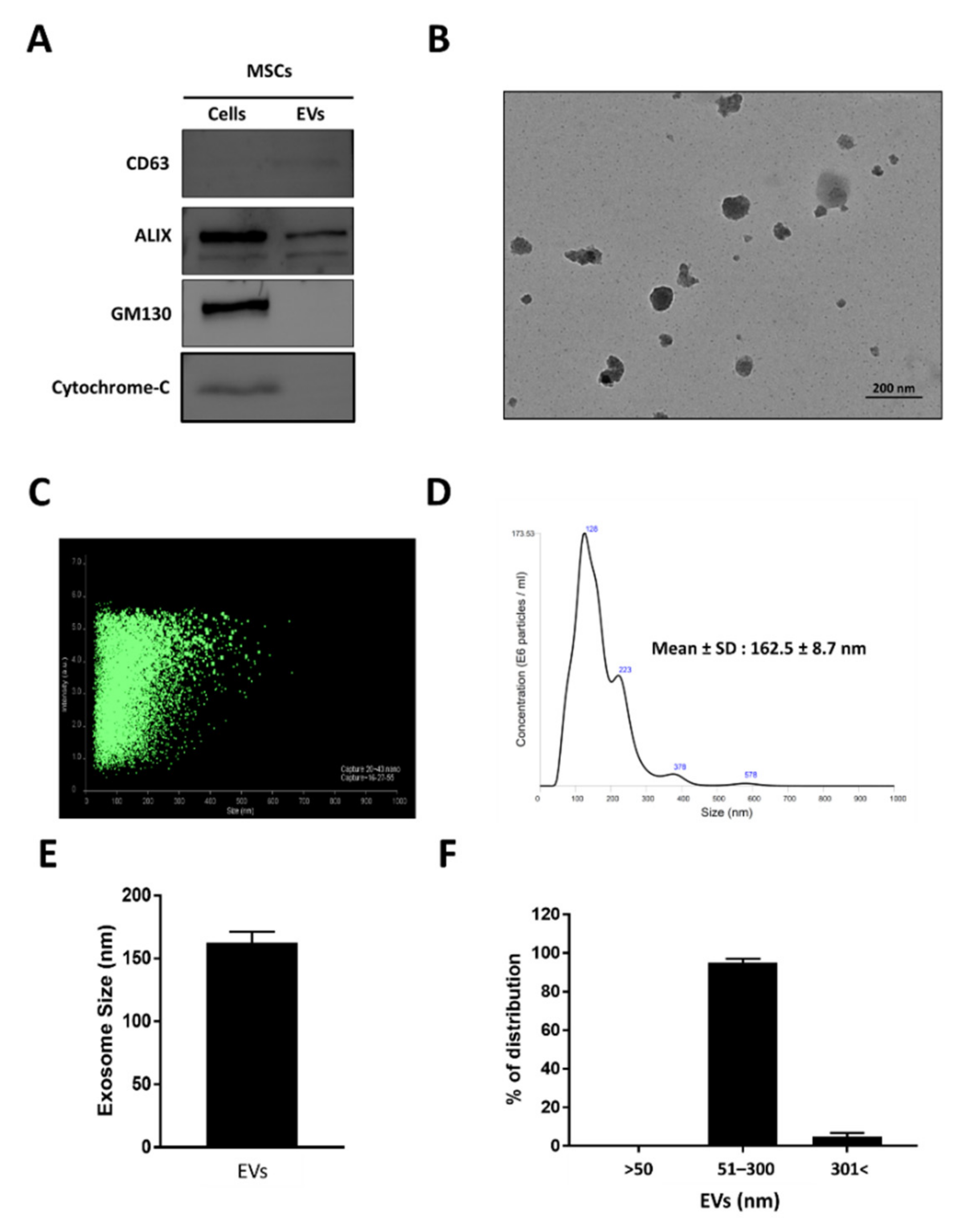 Biomedicines 10 01978 g001 Biomedicines 10 01978 g001