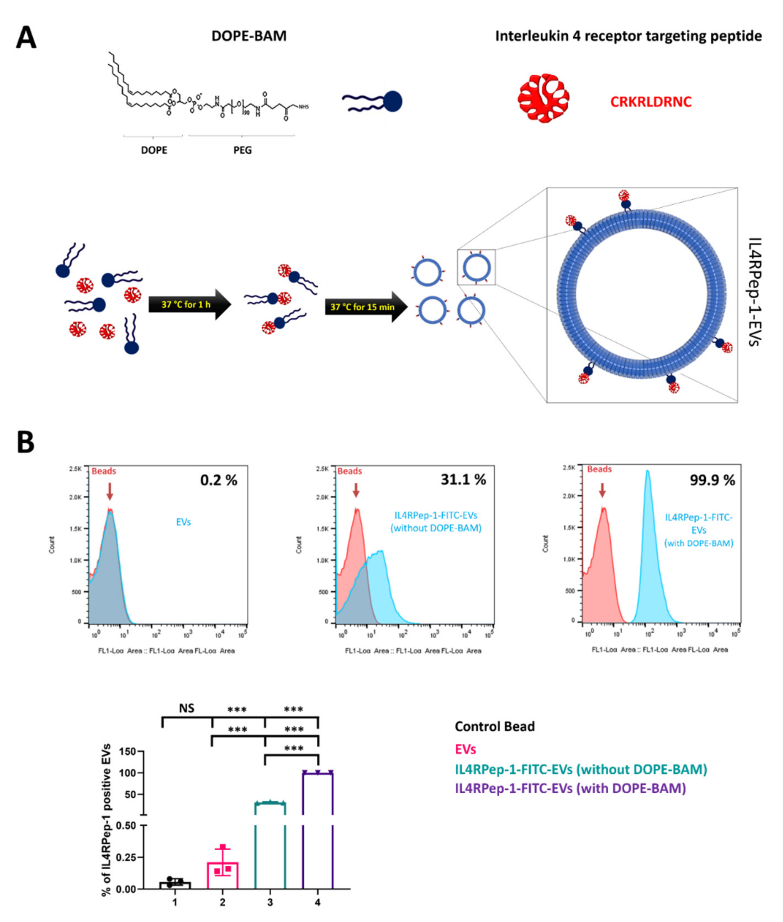 Biomedicines 10 01978 g002 Biomedicines 10 01978 g002