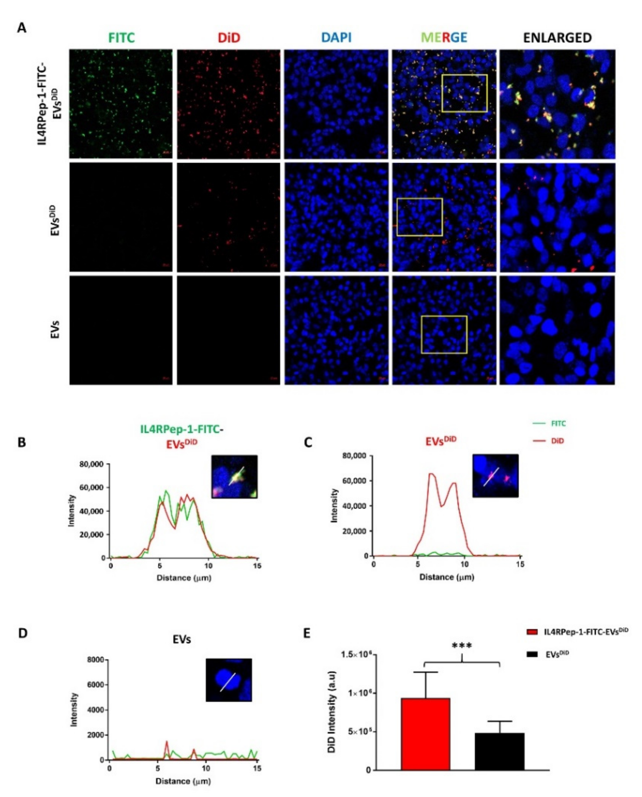 Biomedicines 10 01978 g005 Biomedicines 10 01978 g005