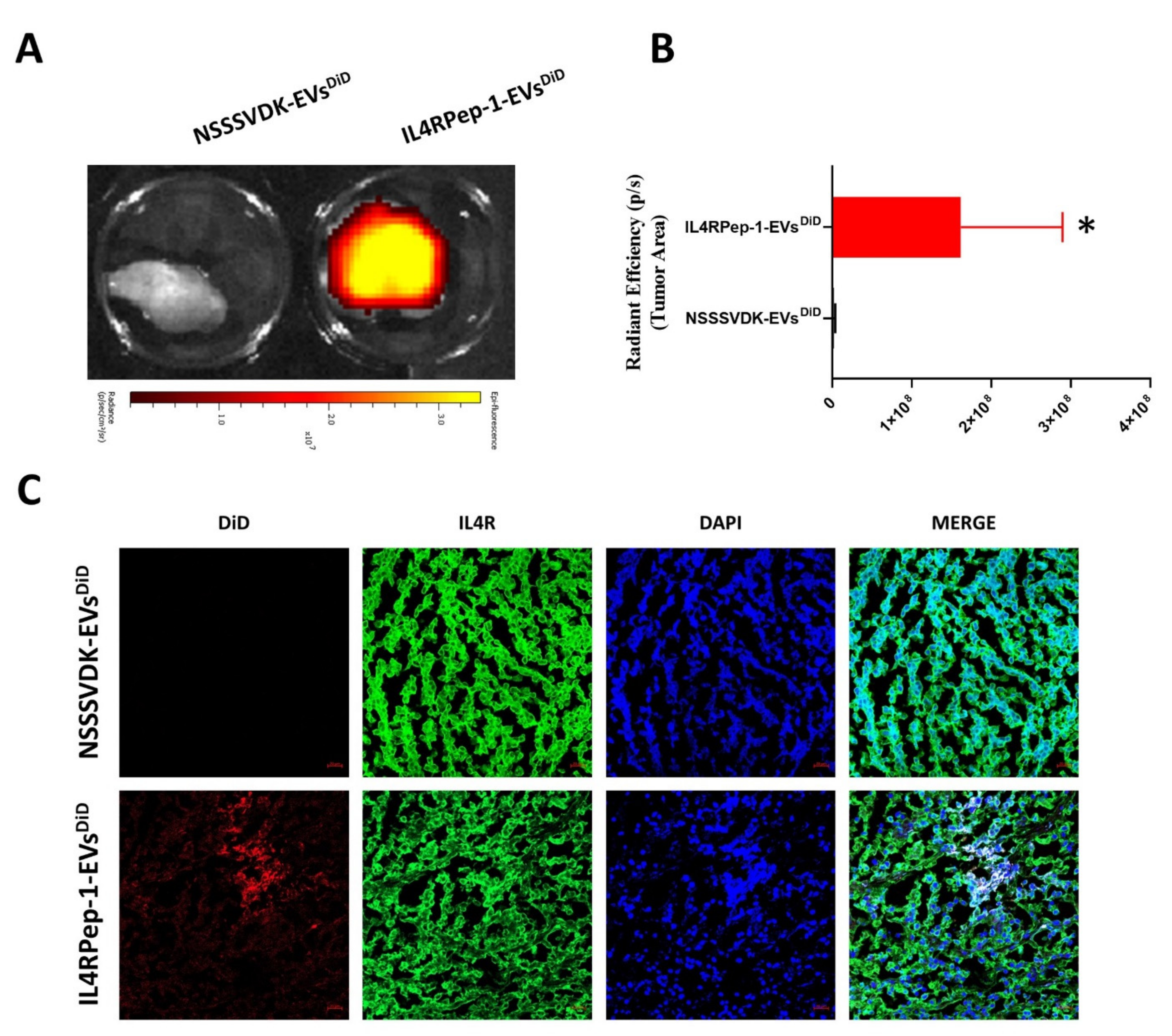 Biomedicines 10 01978 g007 Biomedicines 10 01978 g007