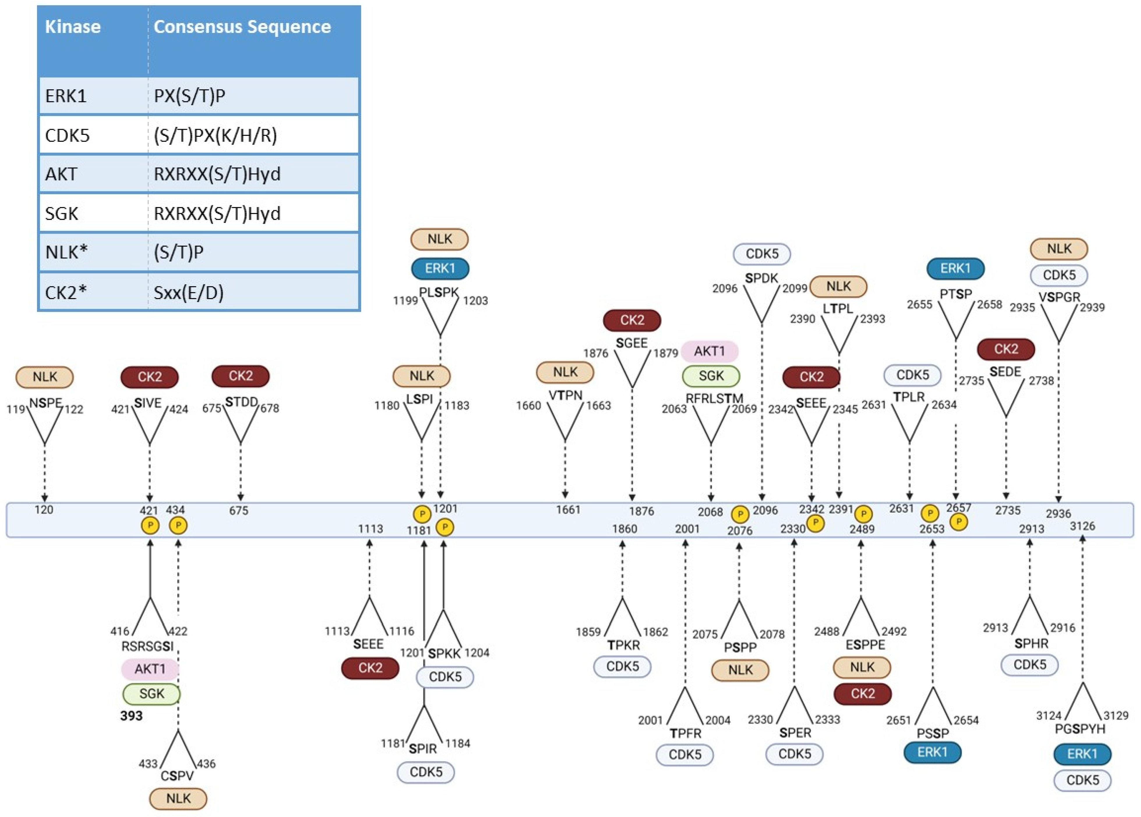 Biomedicines 10 01979 g002 Biomedicines 10 01979 g002