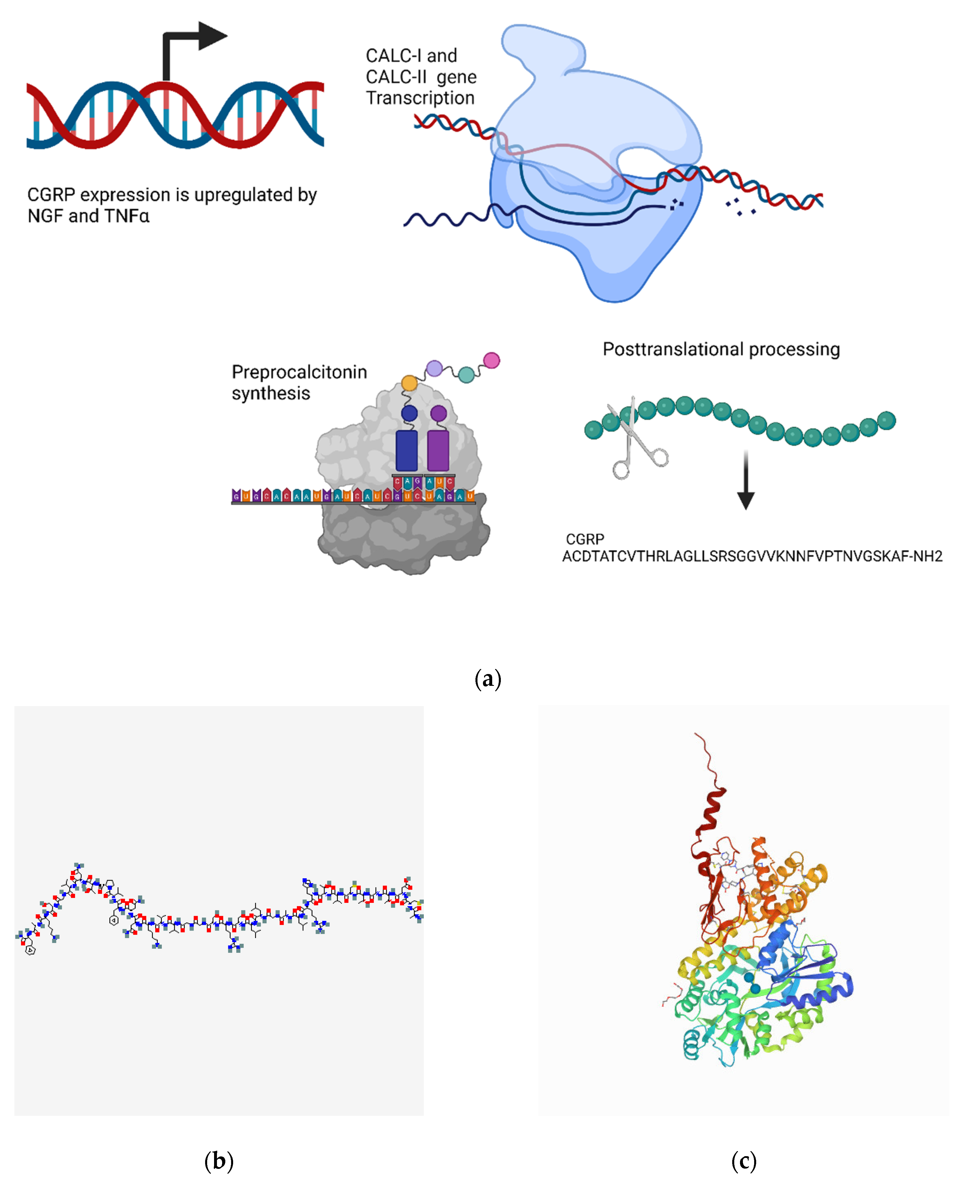 Biomedicines 10 01985 g003 Biomedicines 10 01985 g003