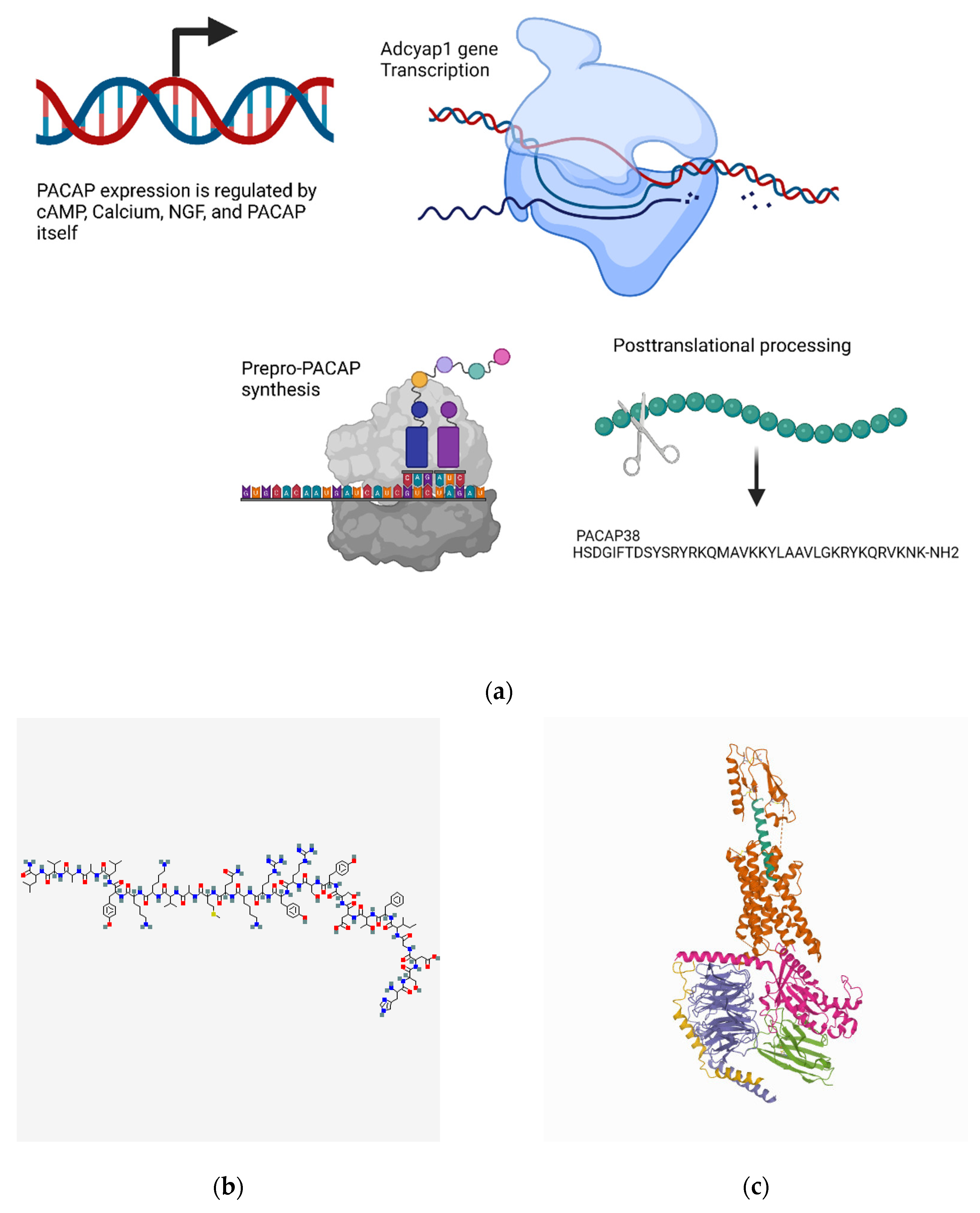 Biomedicines 10 01985 g006 Biomedicines 10 01985 g006