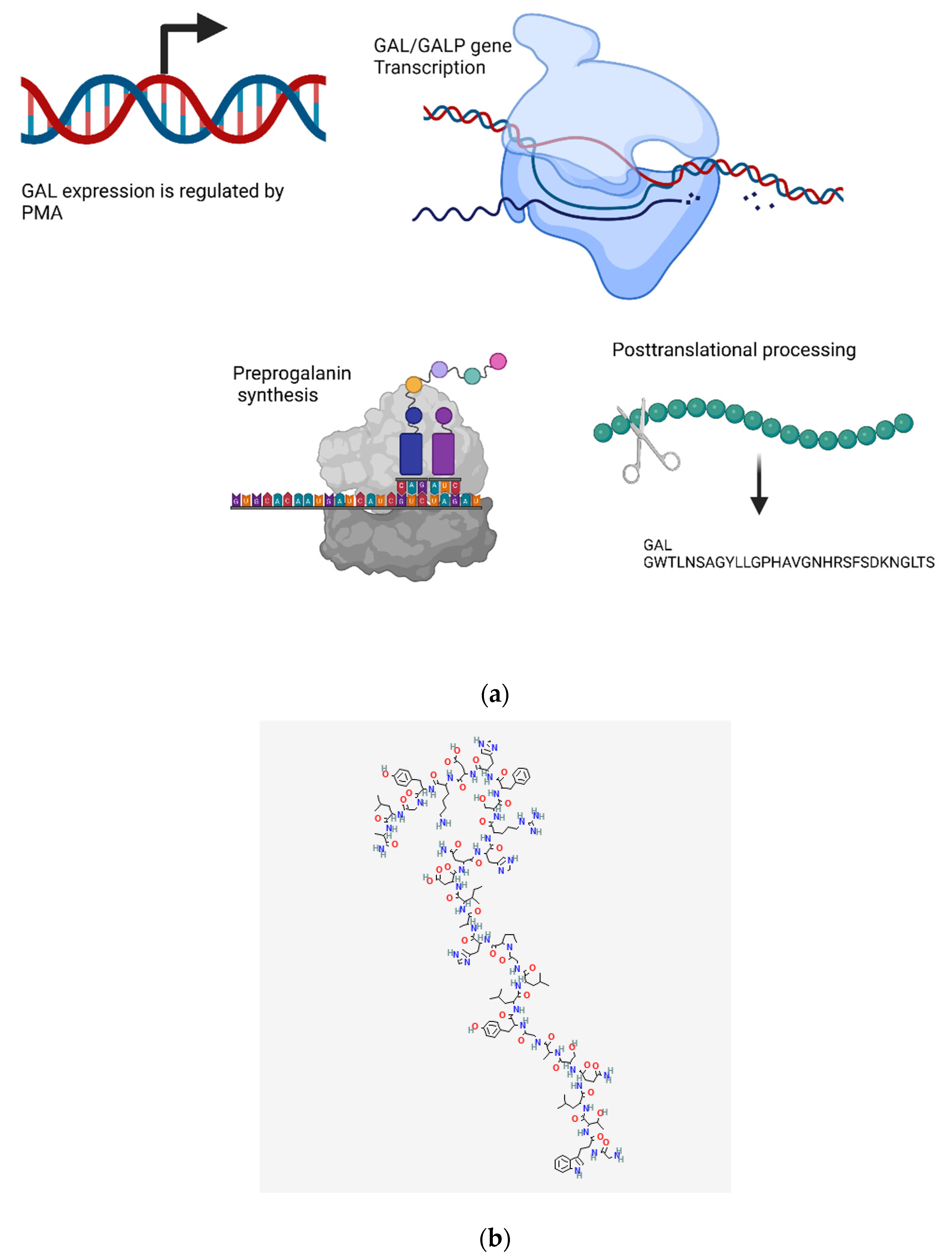 Biomedicines 10 01985 g010 Biomedicines 10 01985 g010