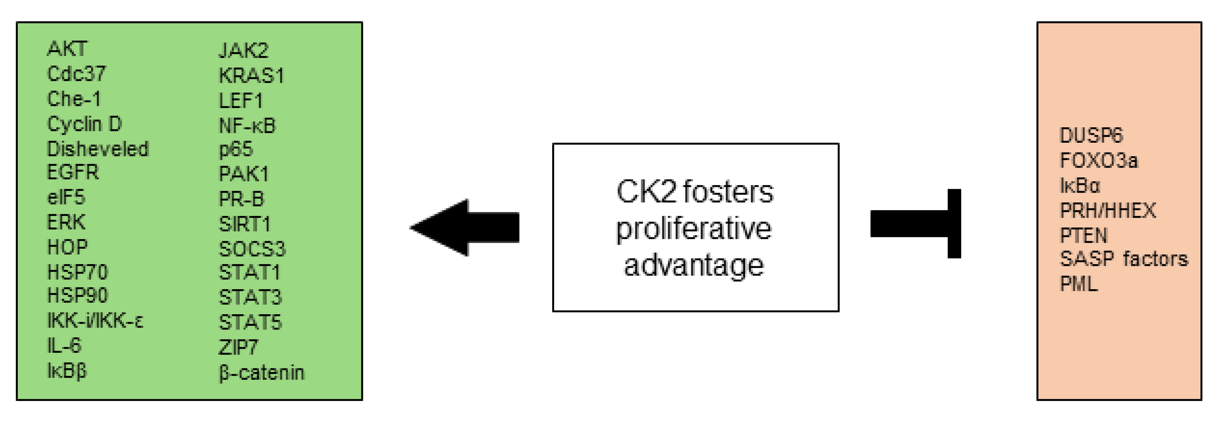 Biomedicines 10 01987 g001 Biomedicines 10 01987 g001
