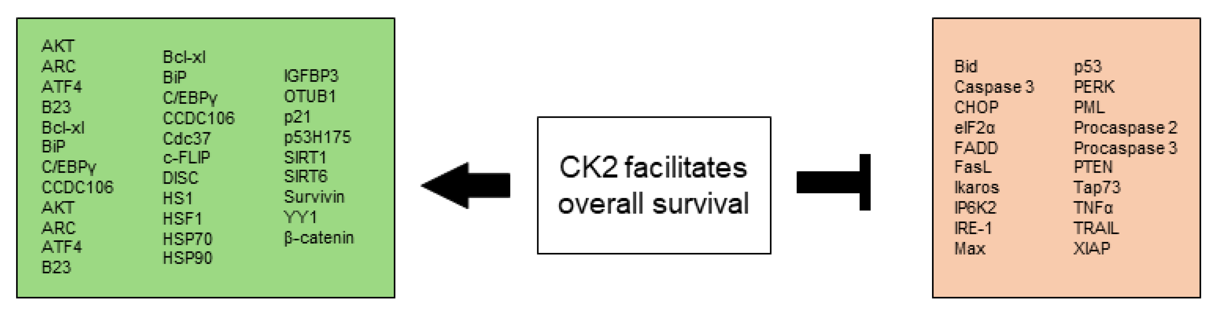 Biomedicines 10 01987 g002 Biomedicines 10 01987 g002