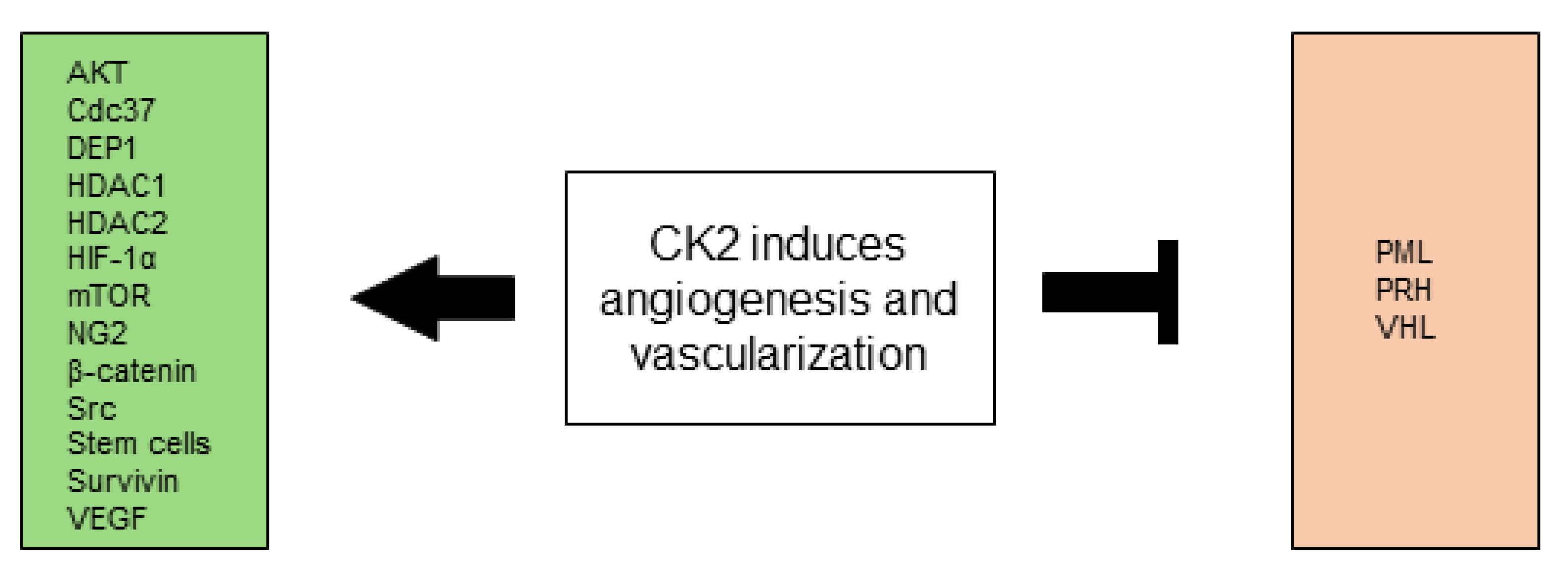 Biomedicines 10 01987 g003 Biomedicines 10 01987 g003