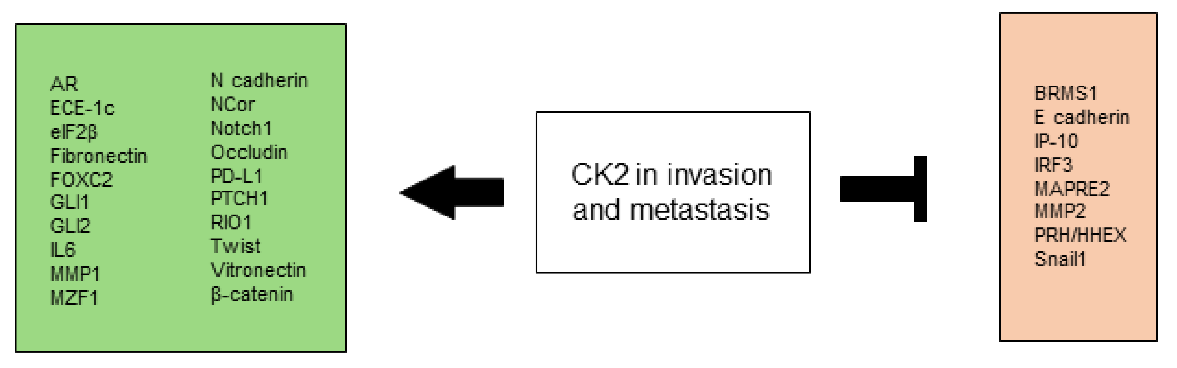 Biomedicines 10 01987 g004 Biomedicines 10 01987 g004