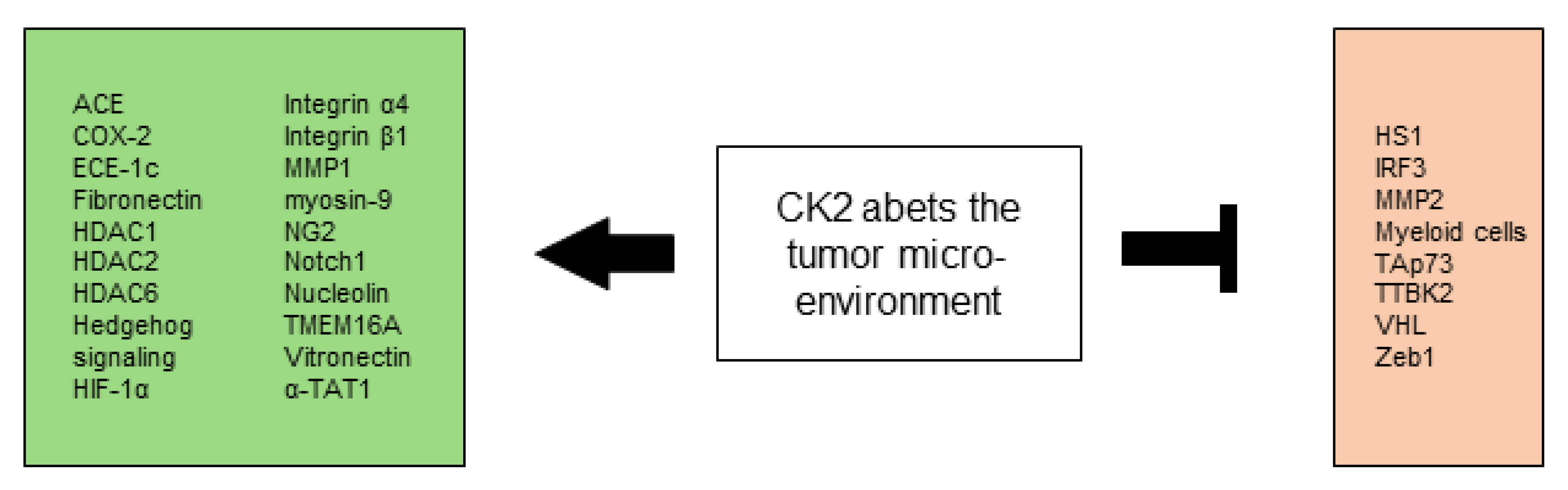 Biomedicines 10 01987 g006 Biomedicines 10 01987 g006