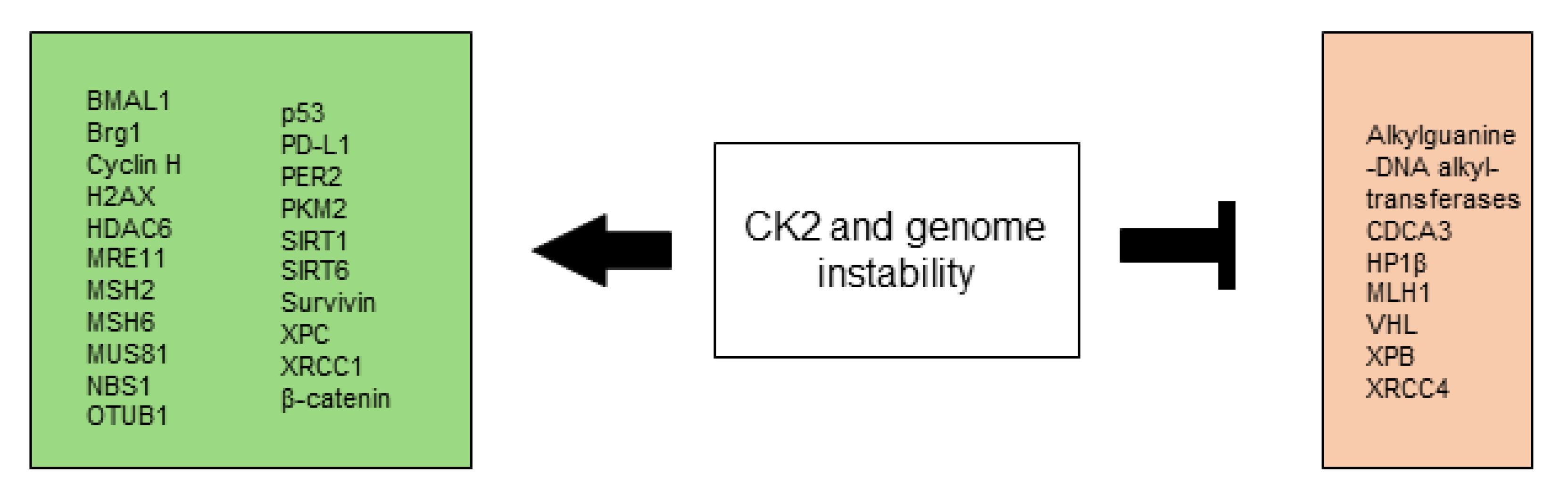 Biomedicines 10 01987 g007 Biomedicines 10 01987 g007