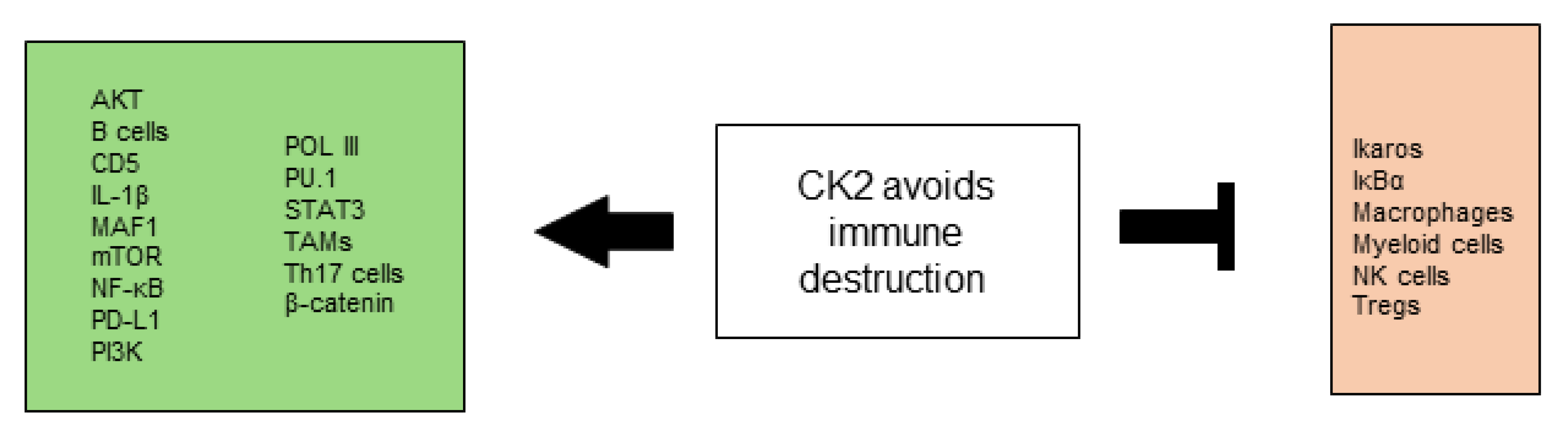 Biomedicines 10 01987 g008 Biomedicines 10 01987 g008