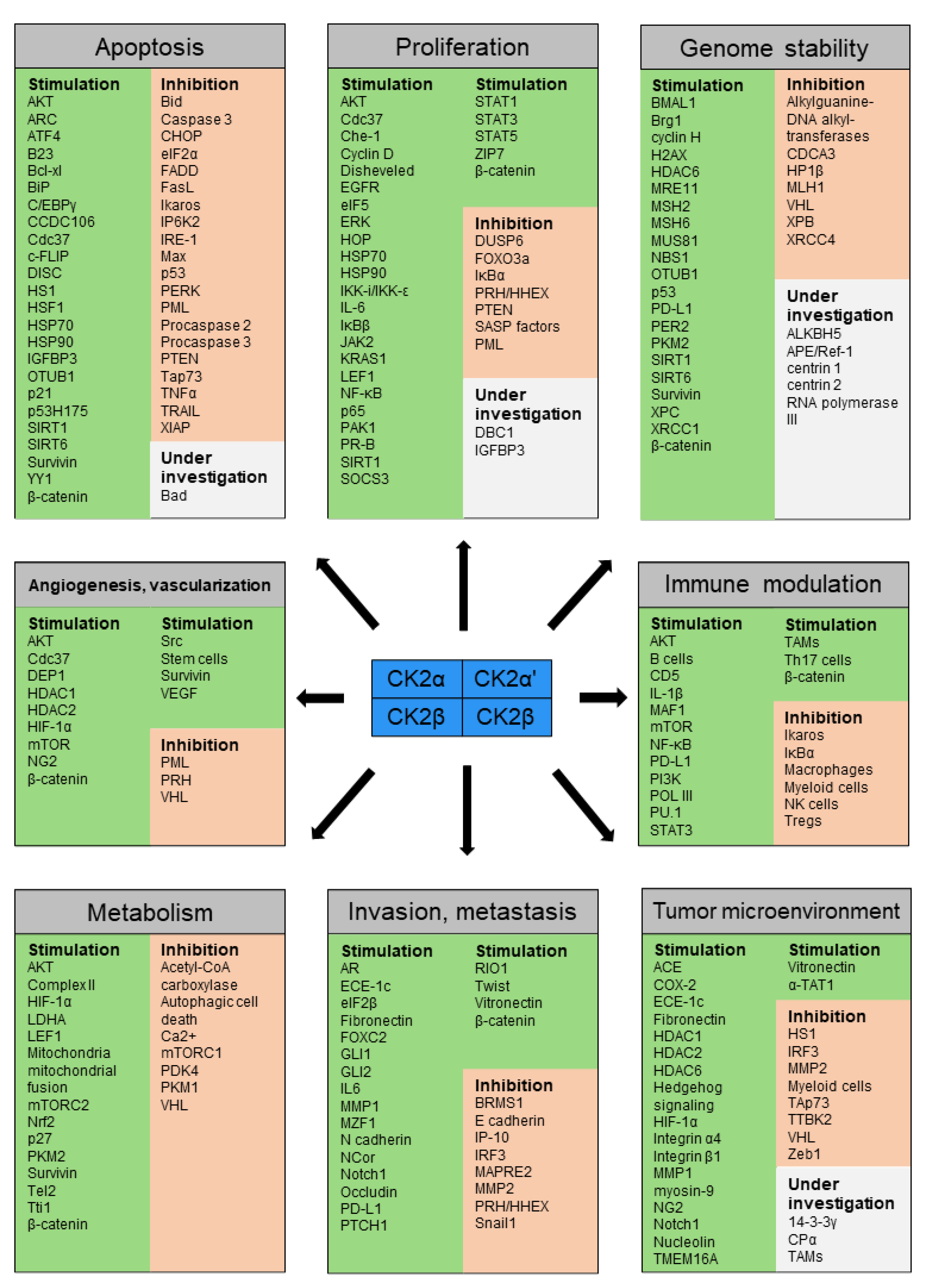 Biomedicines 10 01987 g009 Biomedicines 10 01987 g009