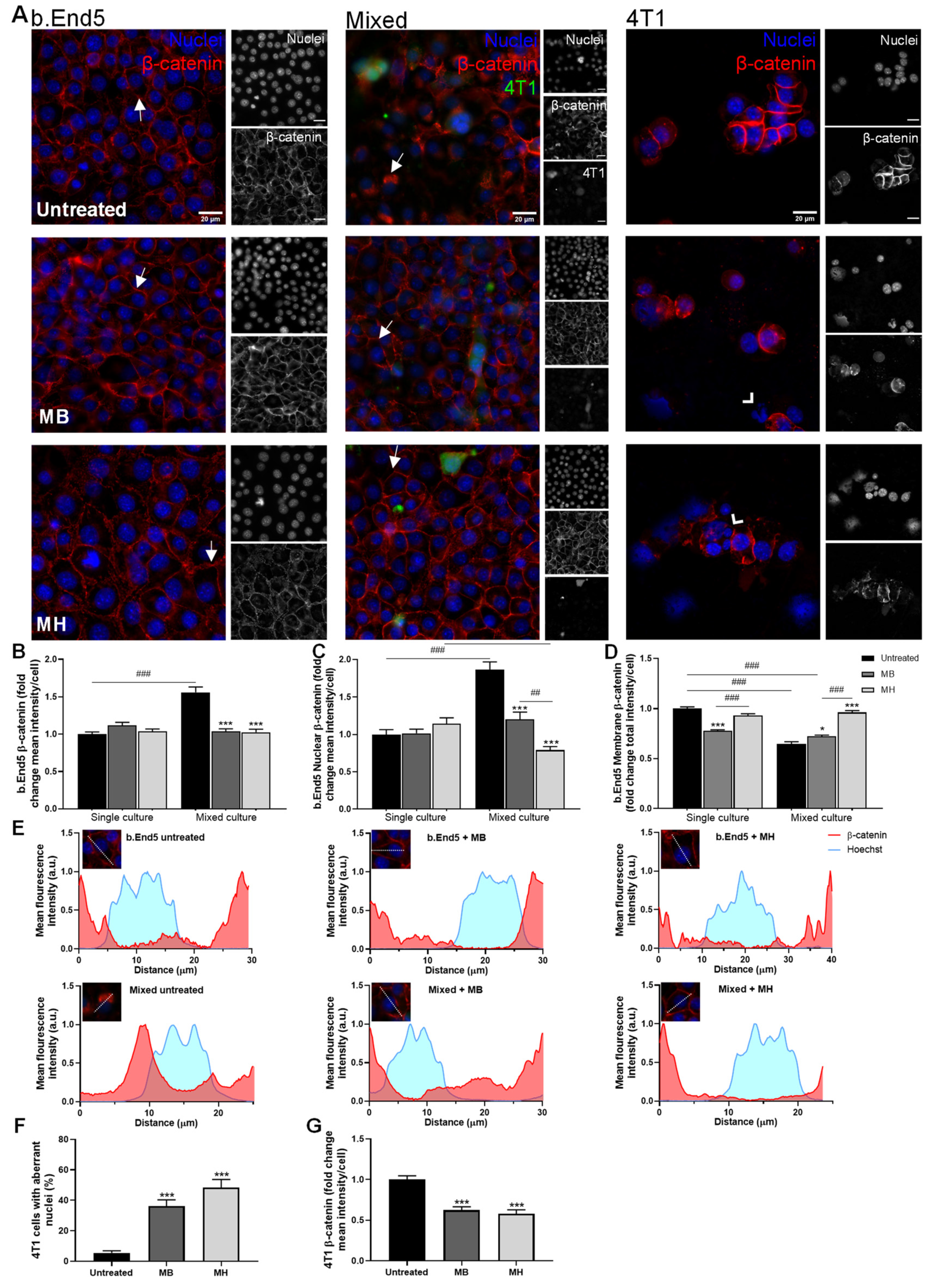 Biomedicines 10 01988 g005