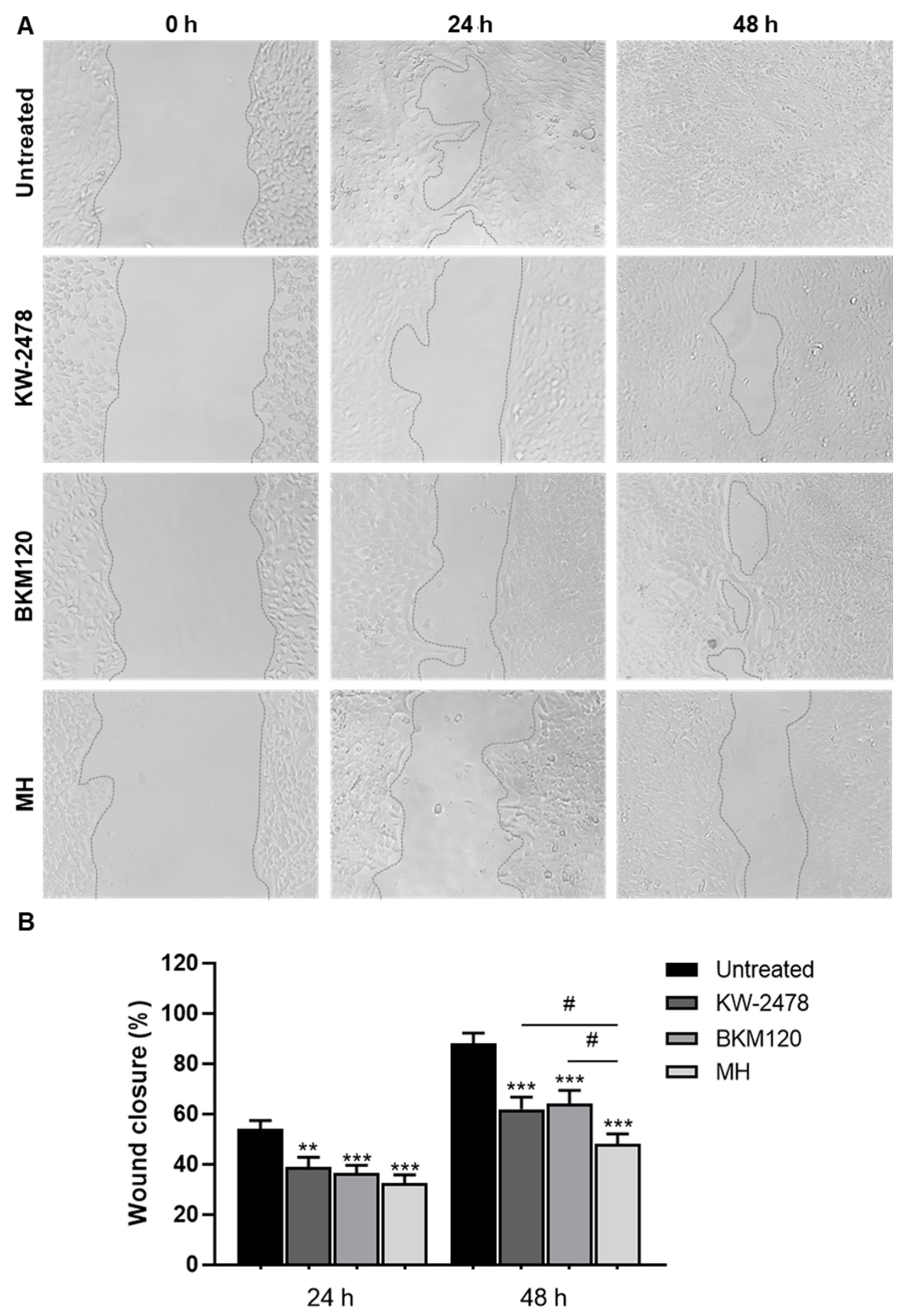 Biomedicines 10 01988 g007