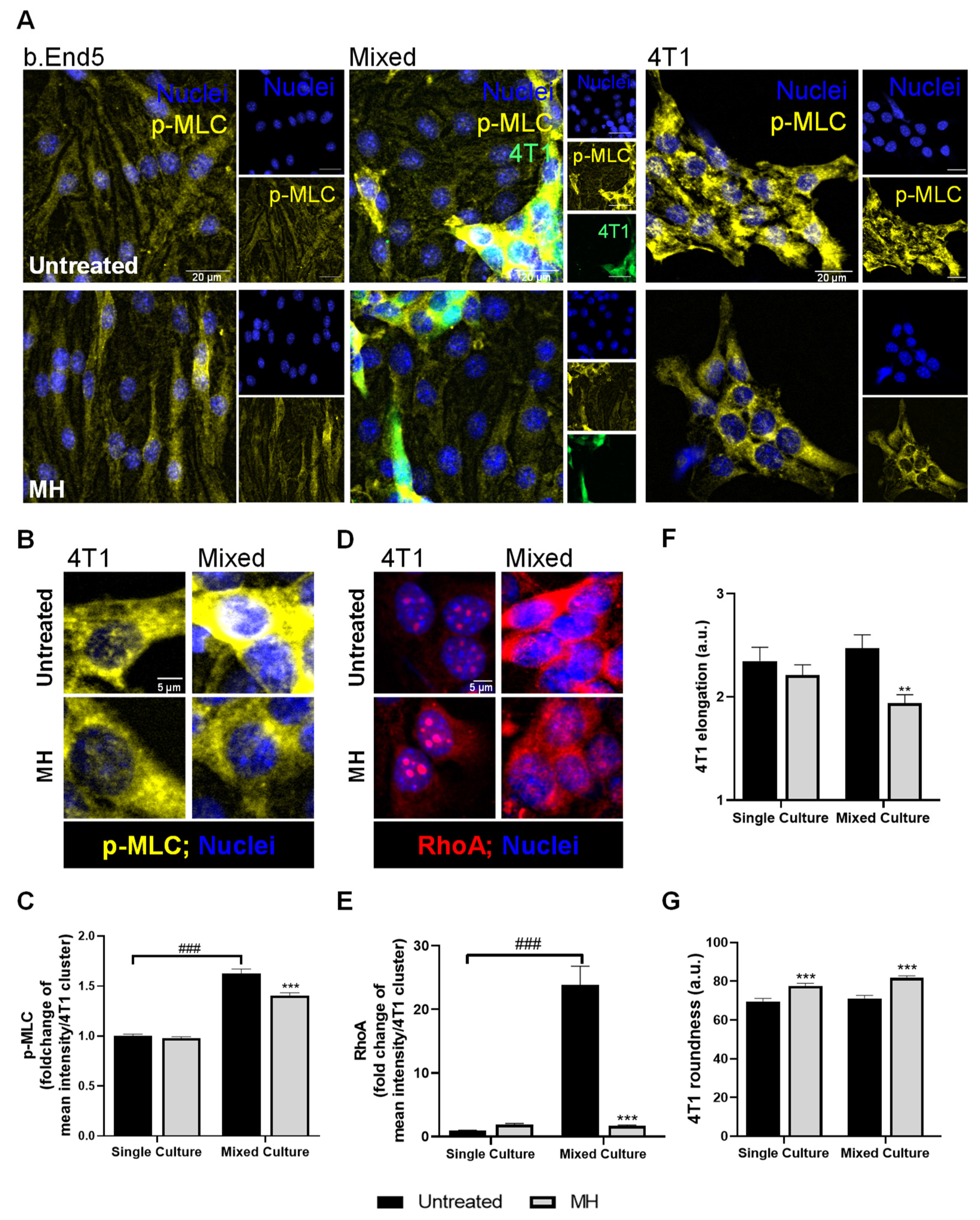Biomedicines 10 01988 g009