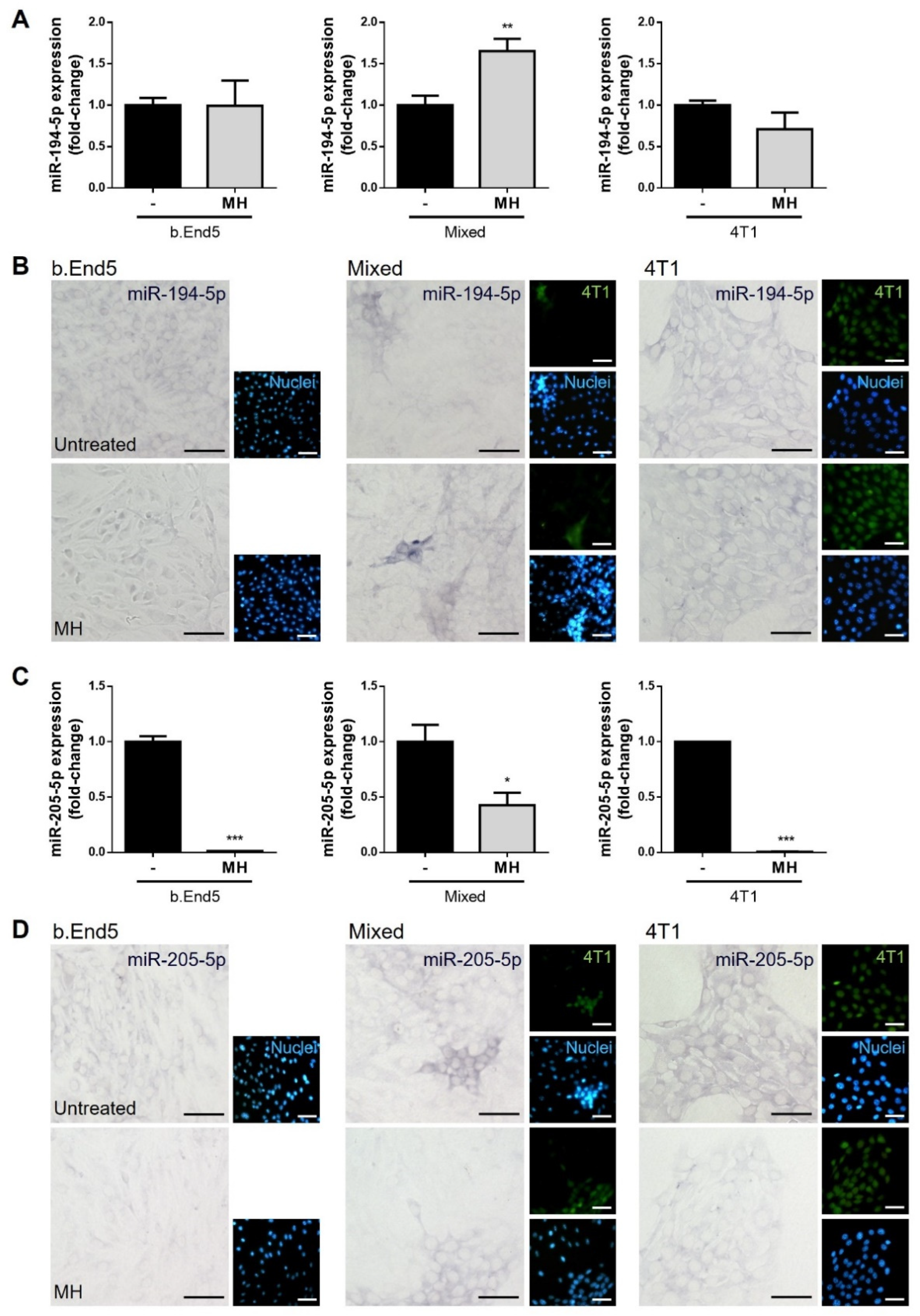 Biomedicines 10 01988 g010