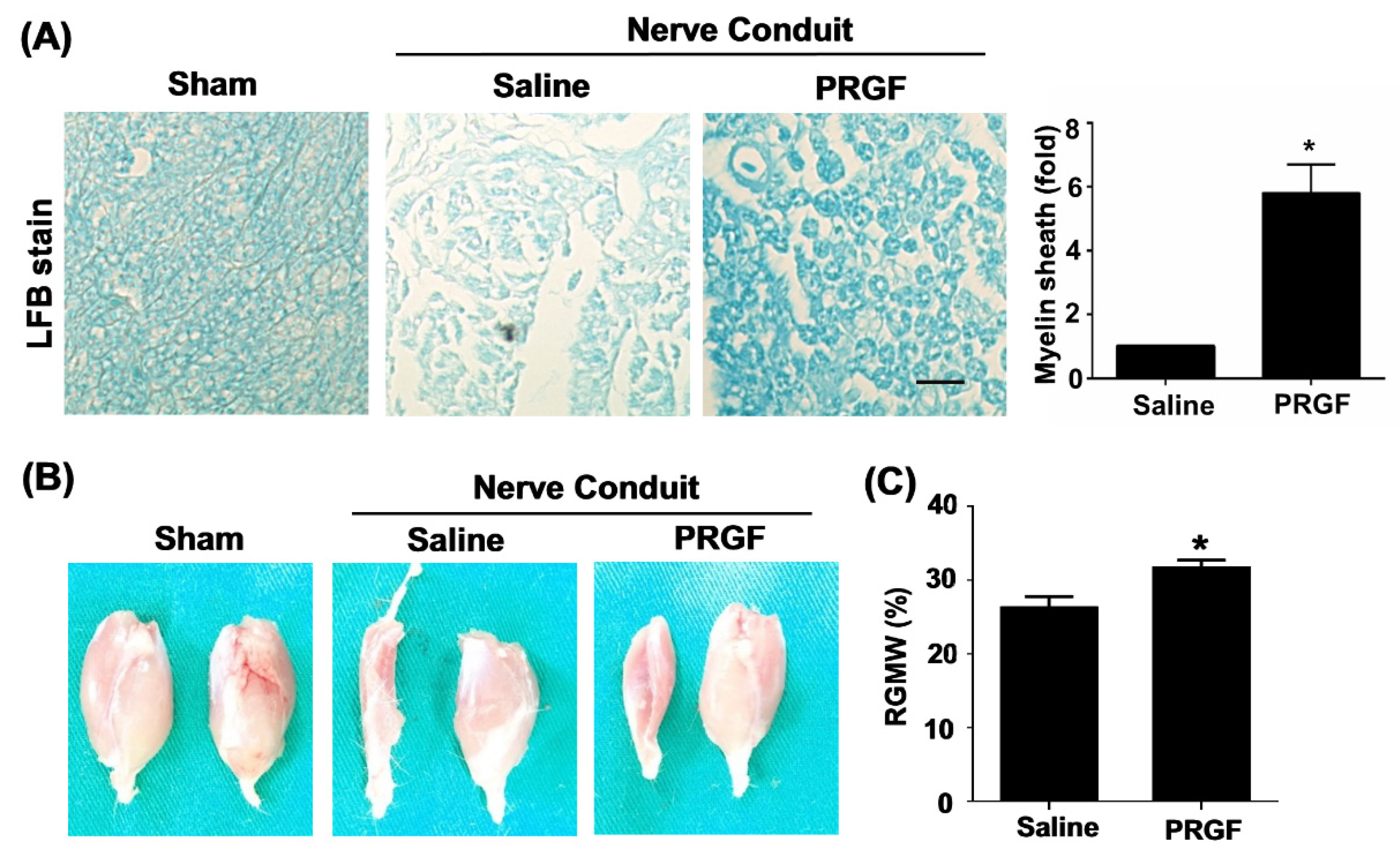 Biomedicines 10 01991 g005