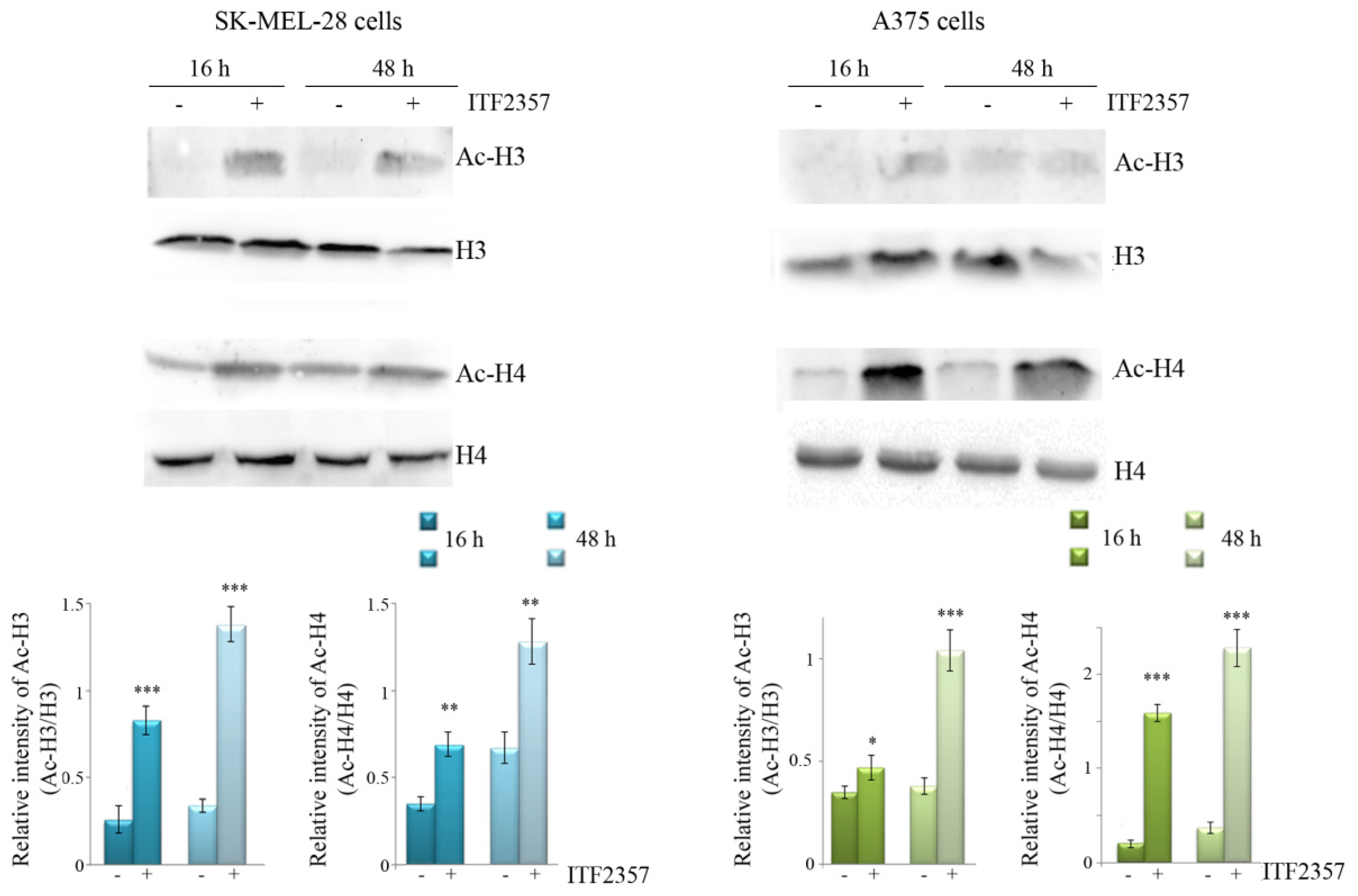 Biomedicines 10 01994 g002 Biomedicines 10 01994 g002