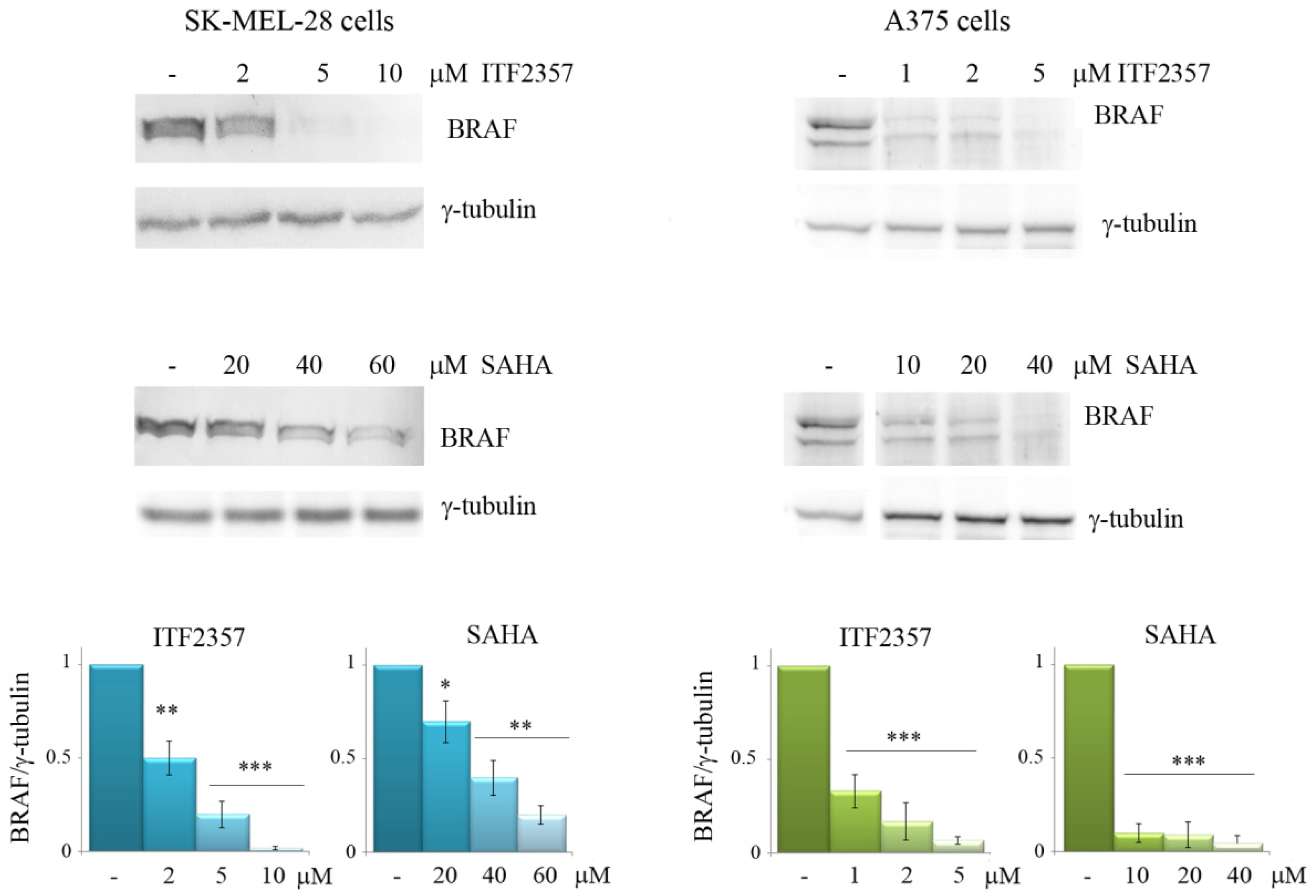 Biomedicines 10 01994 g003 Biomedicines 10 01994 g003