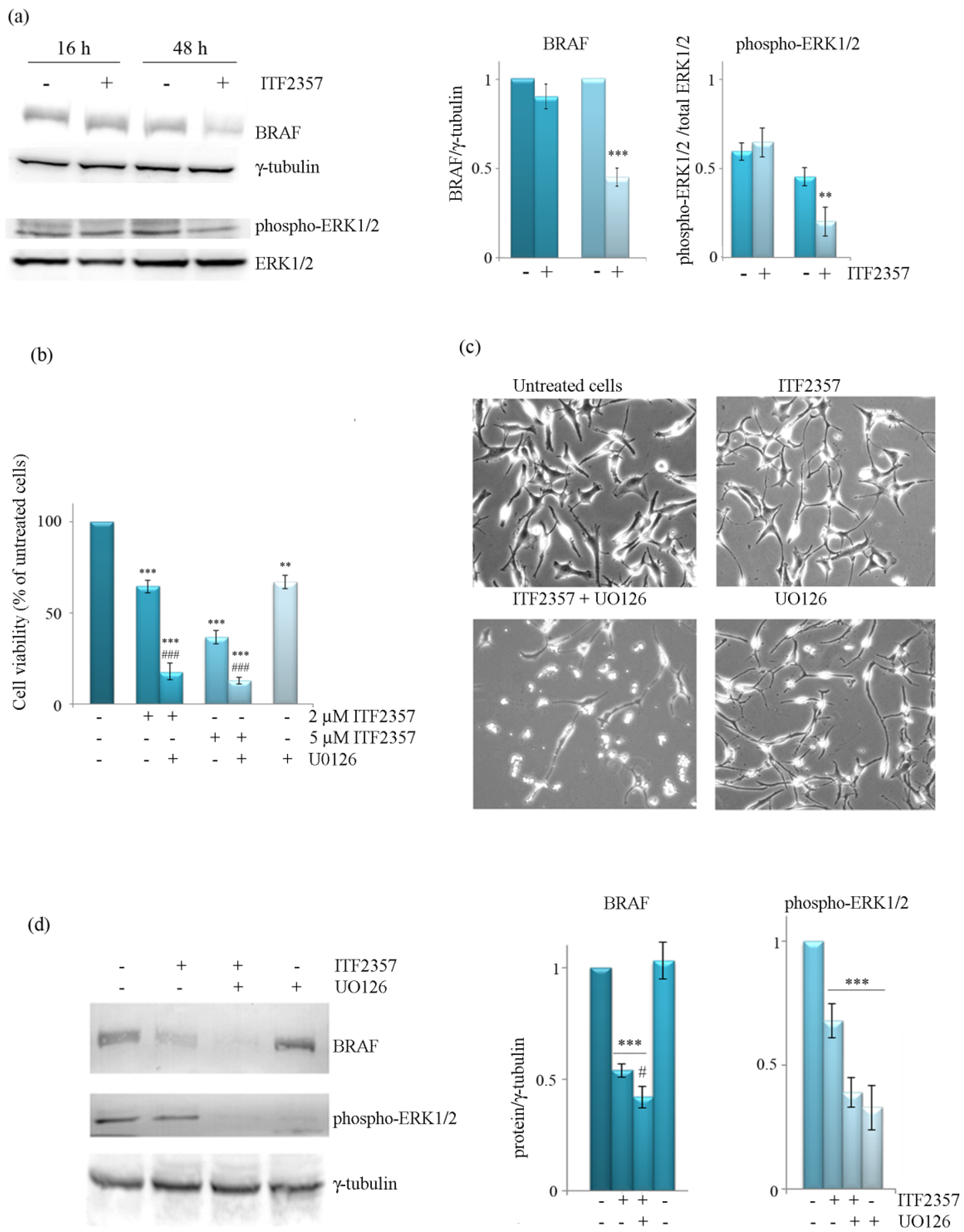 Biomedicines 10 01994 g005 Biomedicines 10 01994 g005