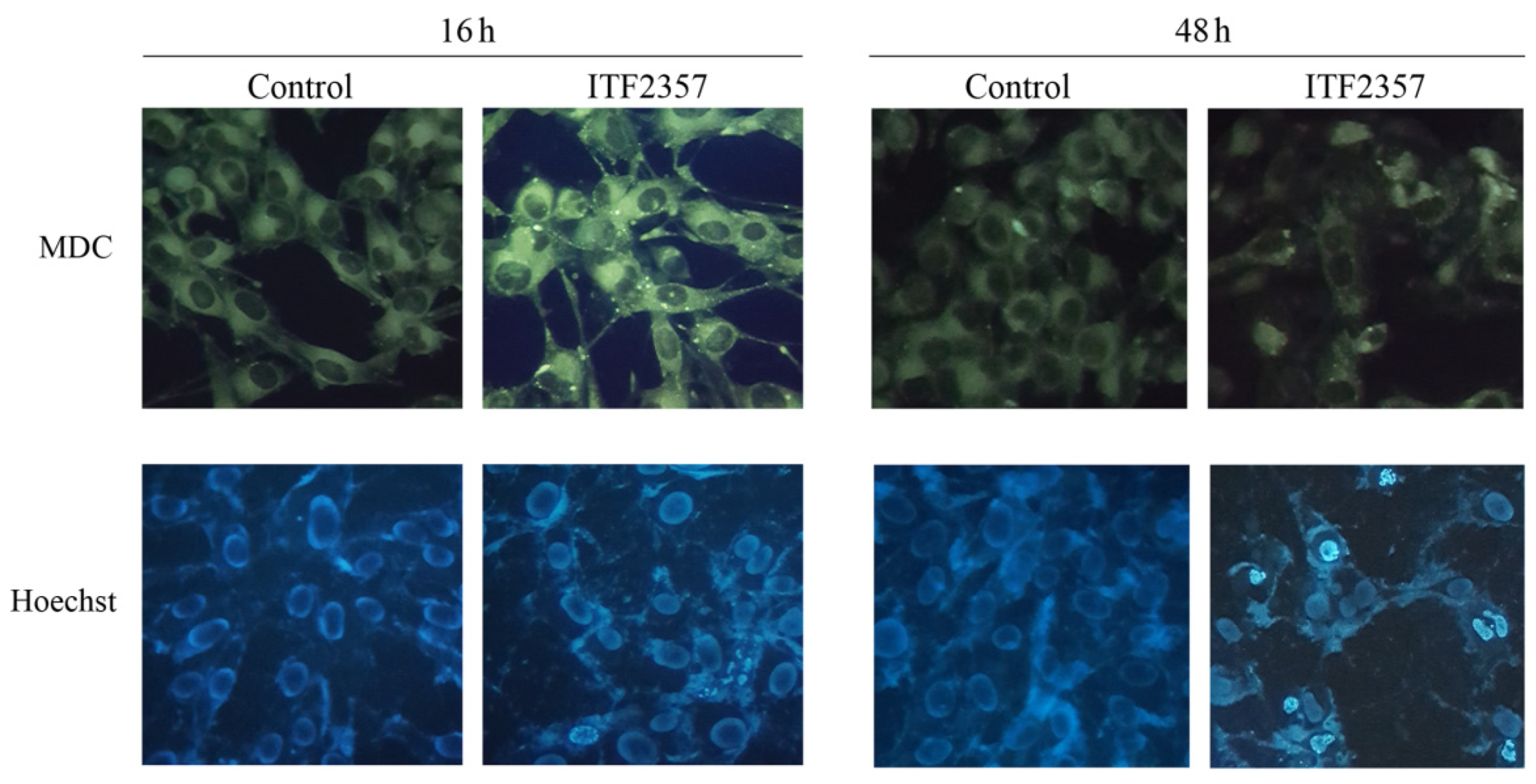 Biomedicines 10 01994 g006 Biomedicines 10 01994 g006