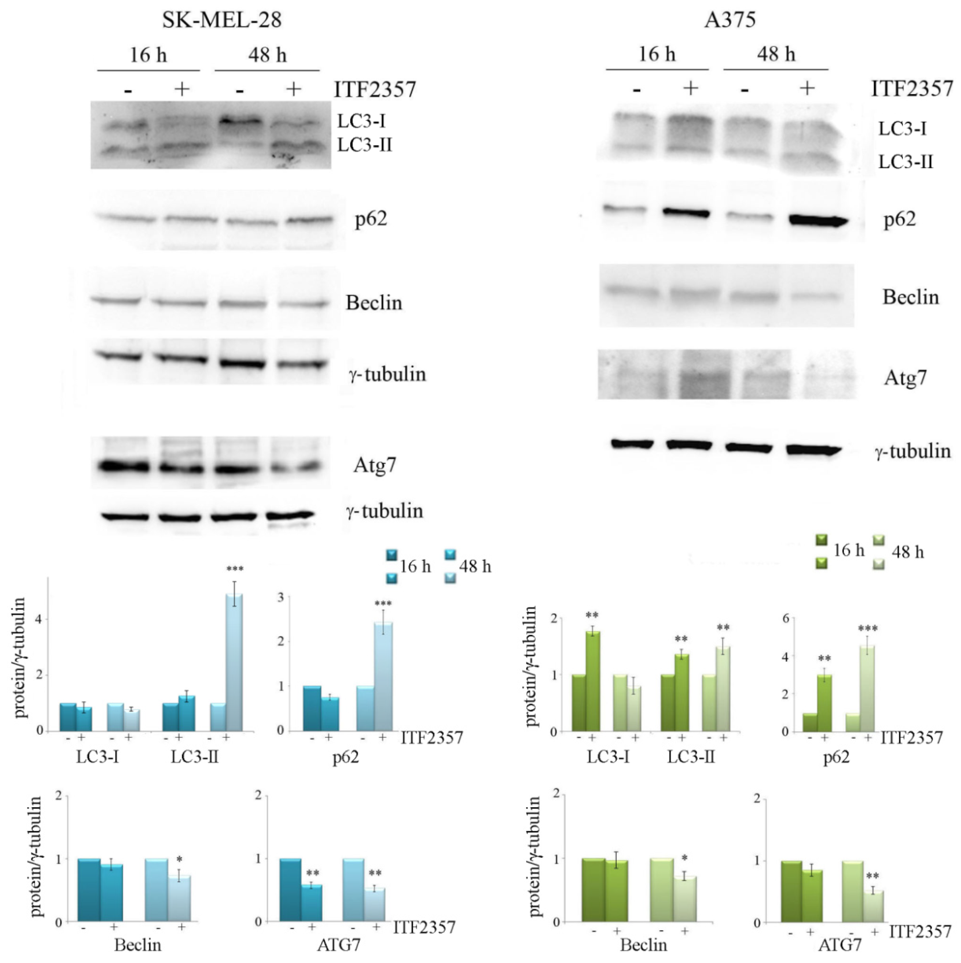 Biomedicines 10 01994 g007 Biomedicines 10 01994 g007