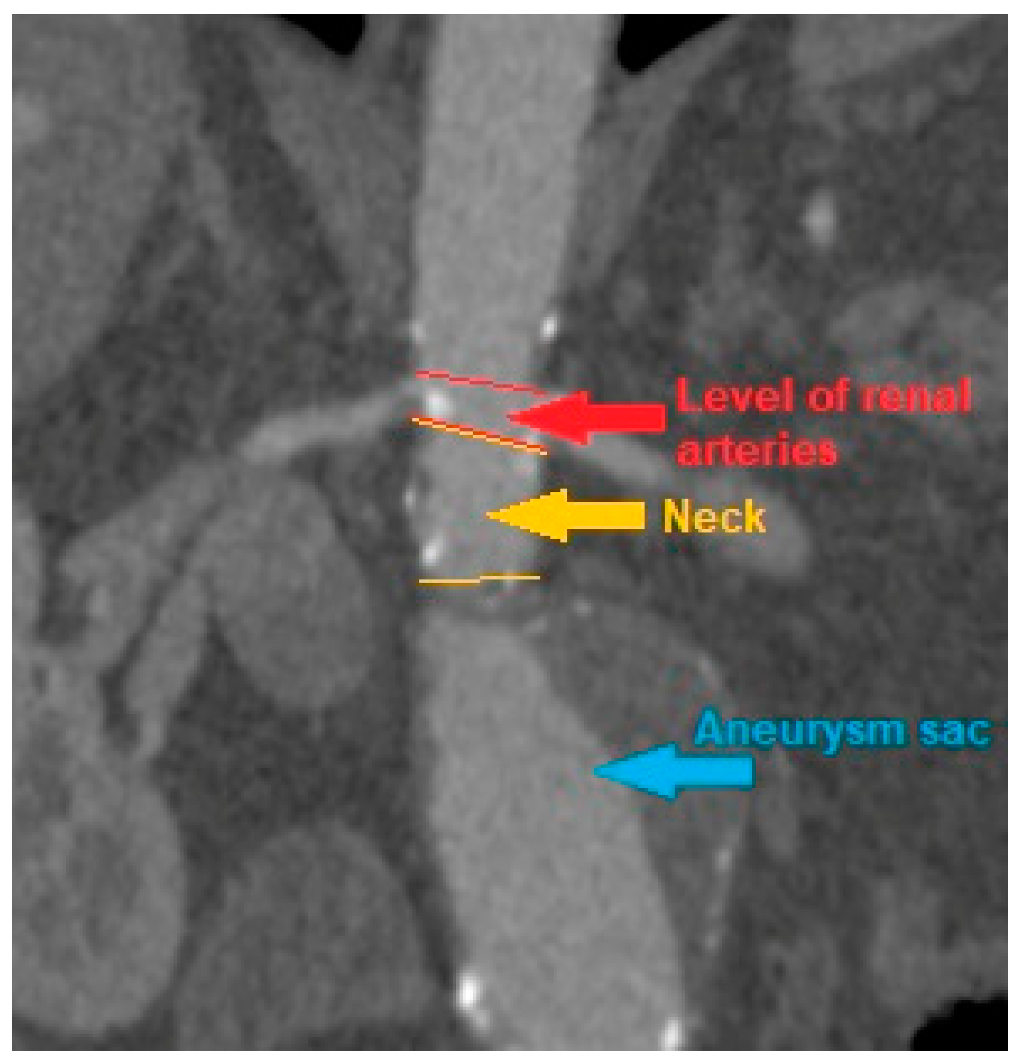 Biomedicines 10 01997 g001