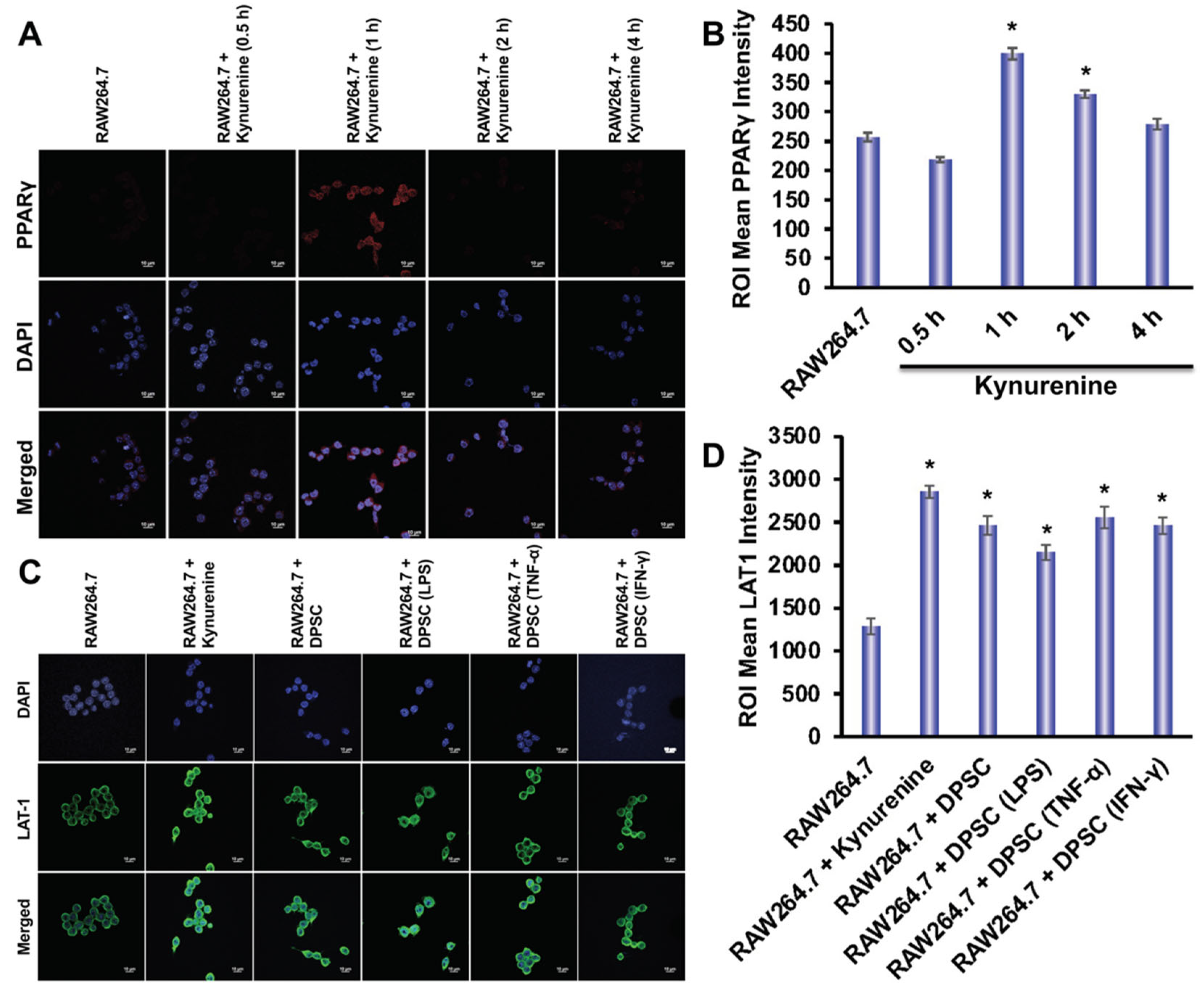 Biomedicines 10 01999 g008 550