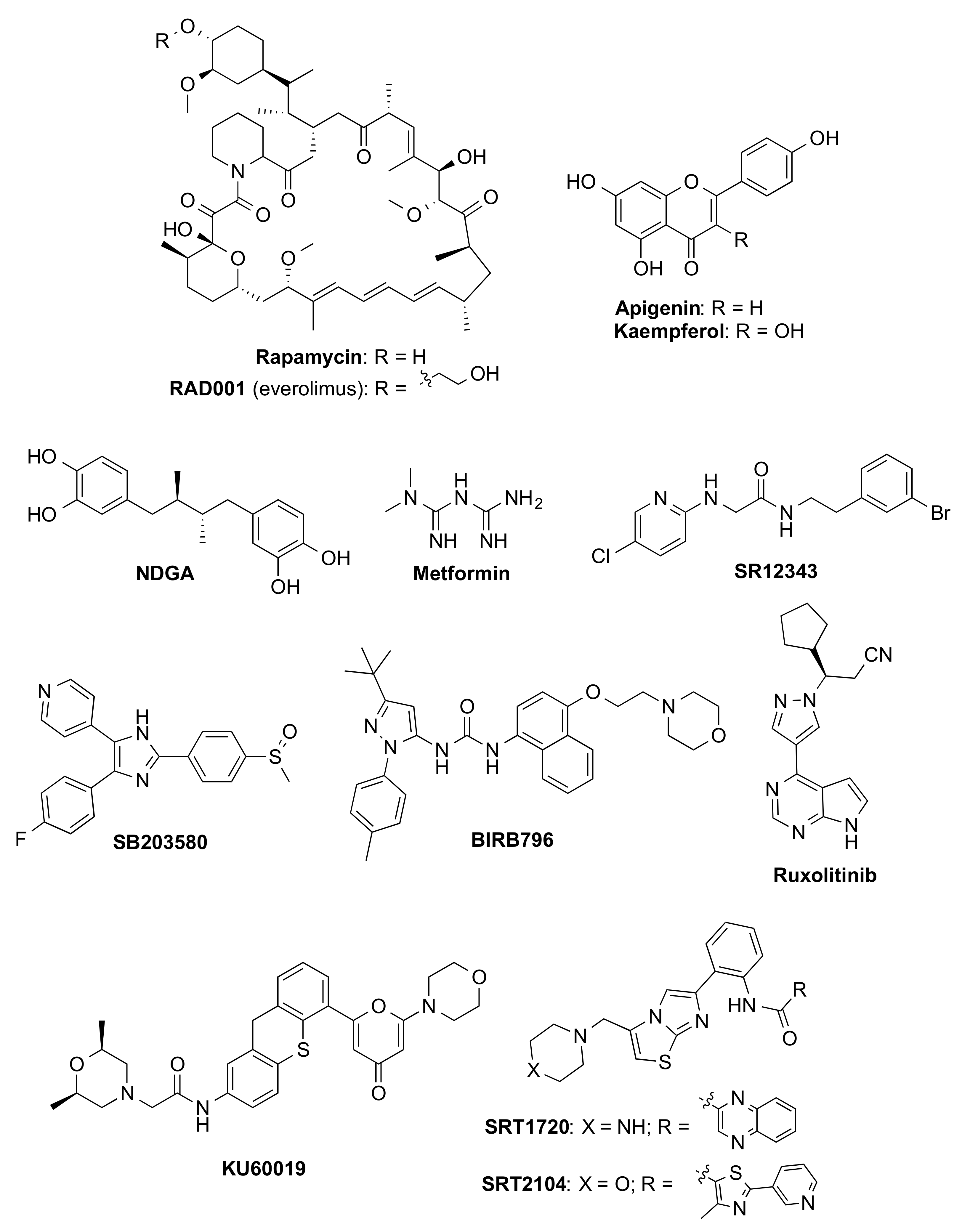Biomedicines 10 02006 g003 550