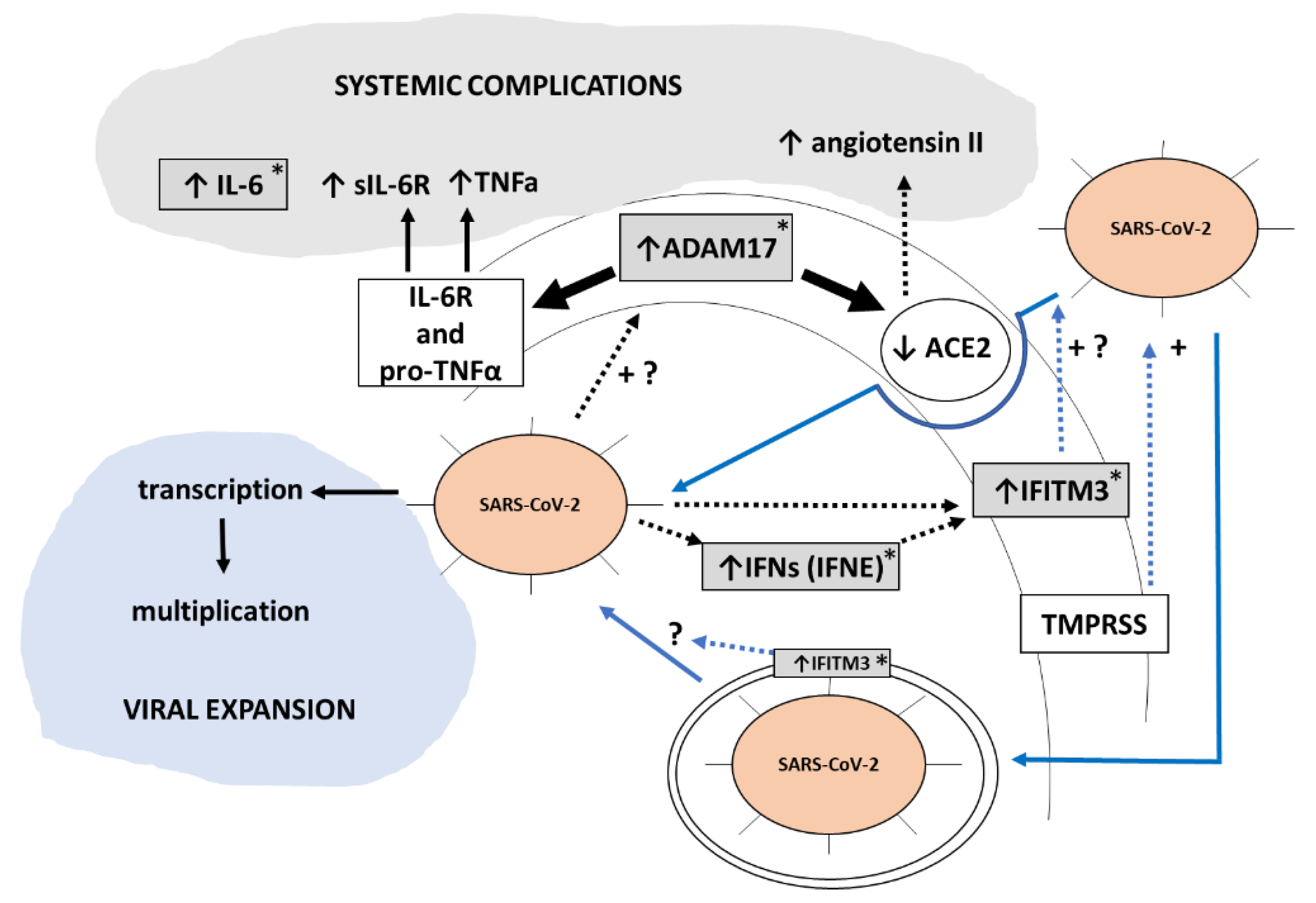 Biomedicines 10 02007 g006