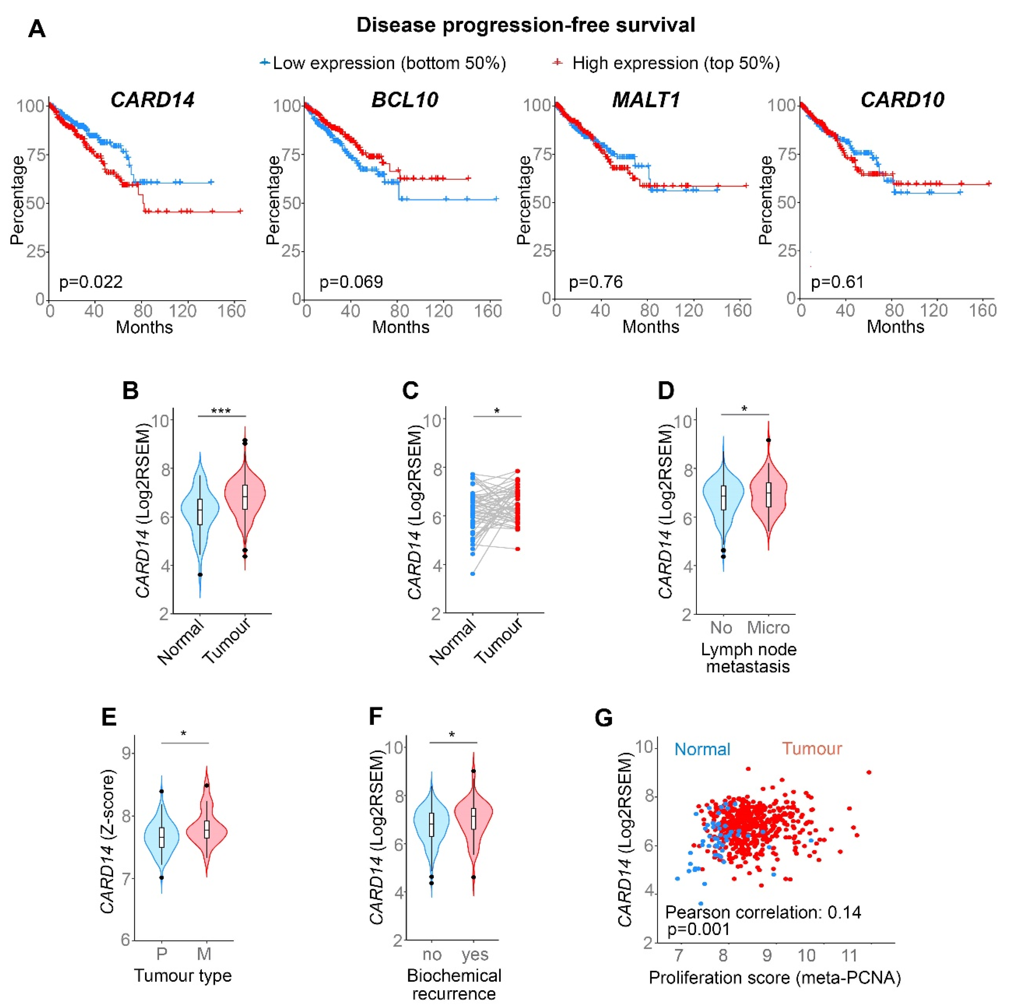 Biomedicines 10 02008 g001 550