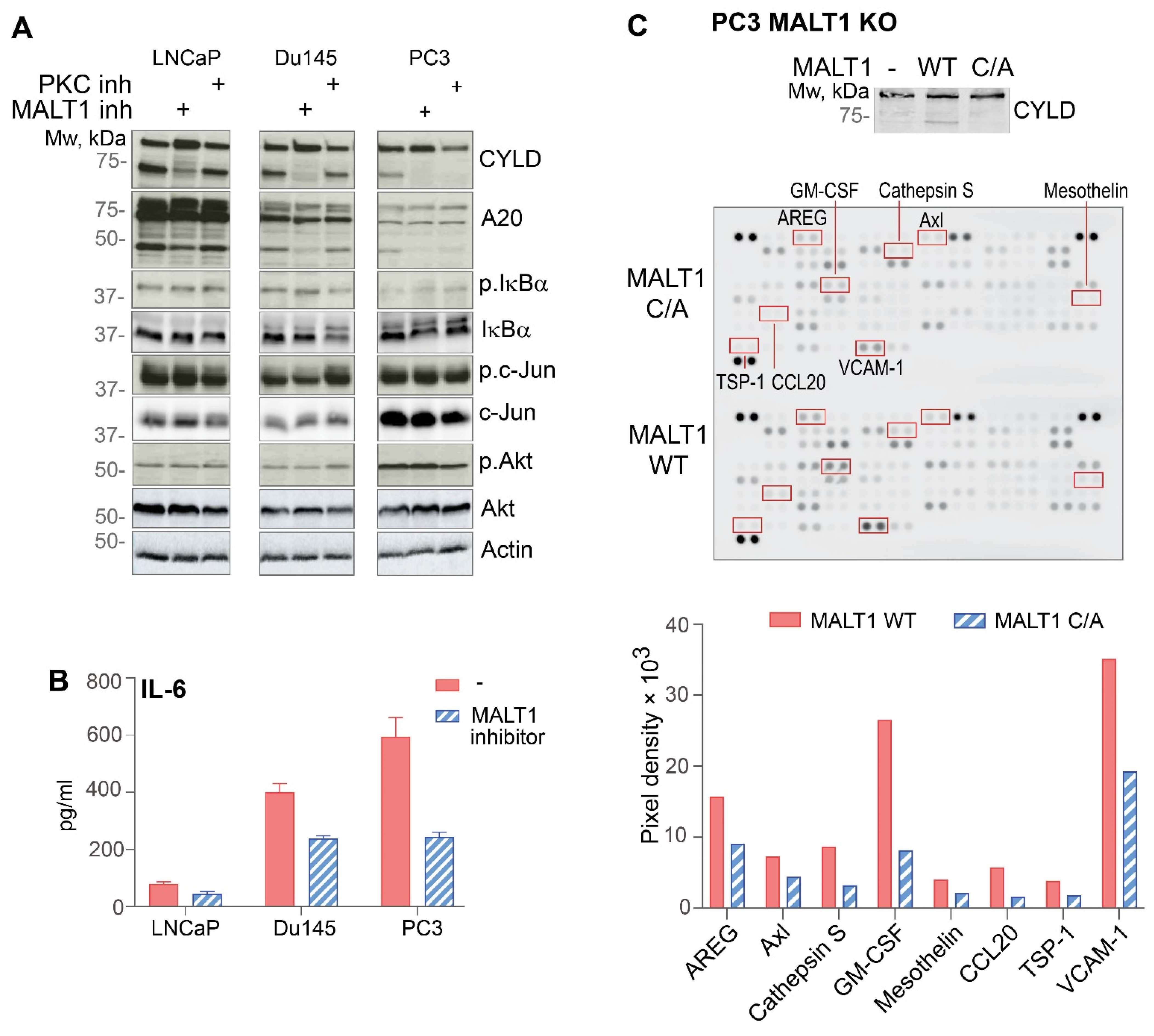 Biomedicines 10 02008 g005 550