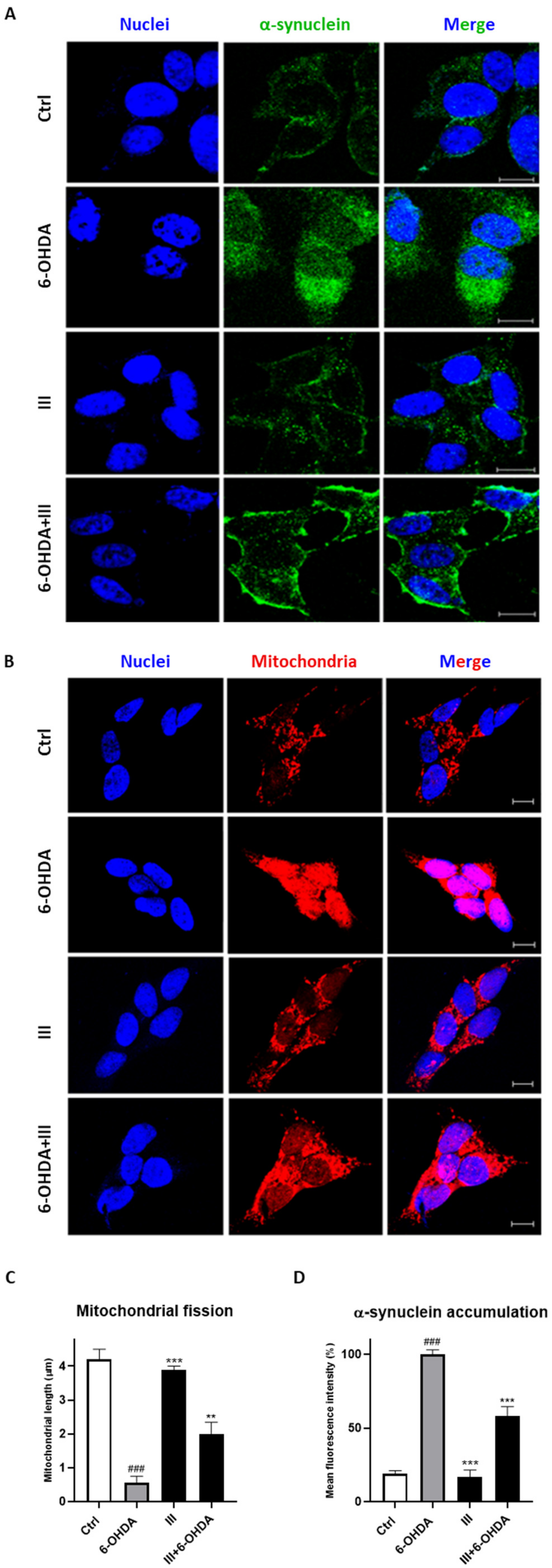 Biomedicines 10 02009 g007