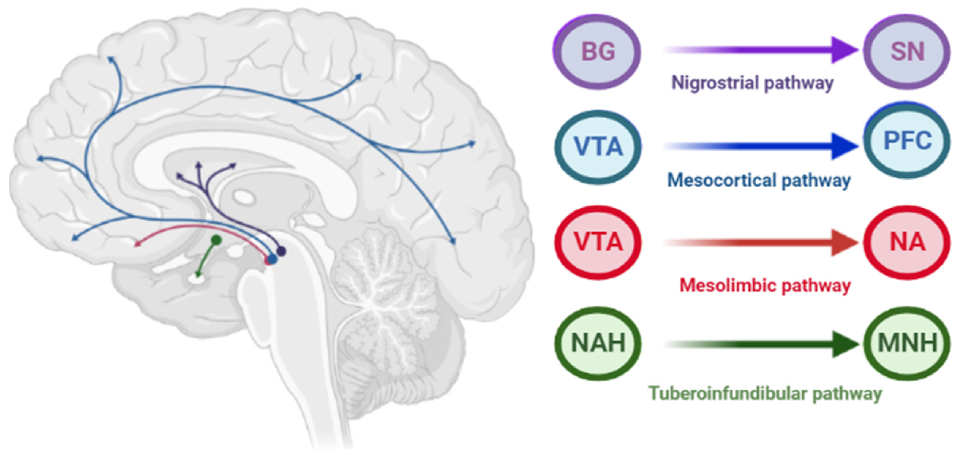 Biomedicines 10 02010 g002 Biomedicines 10 02010 g002
