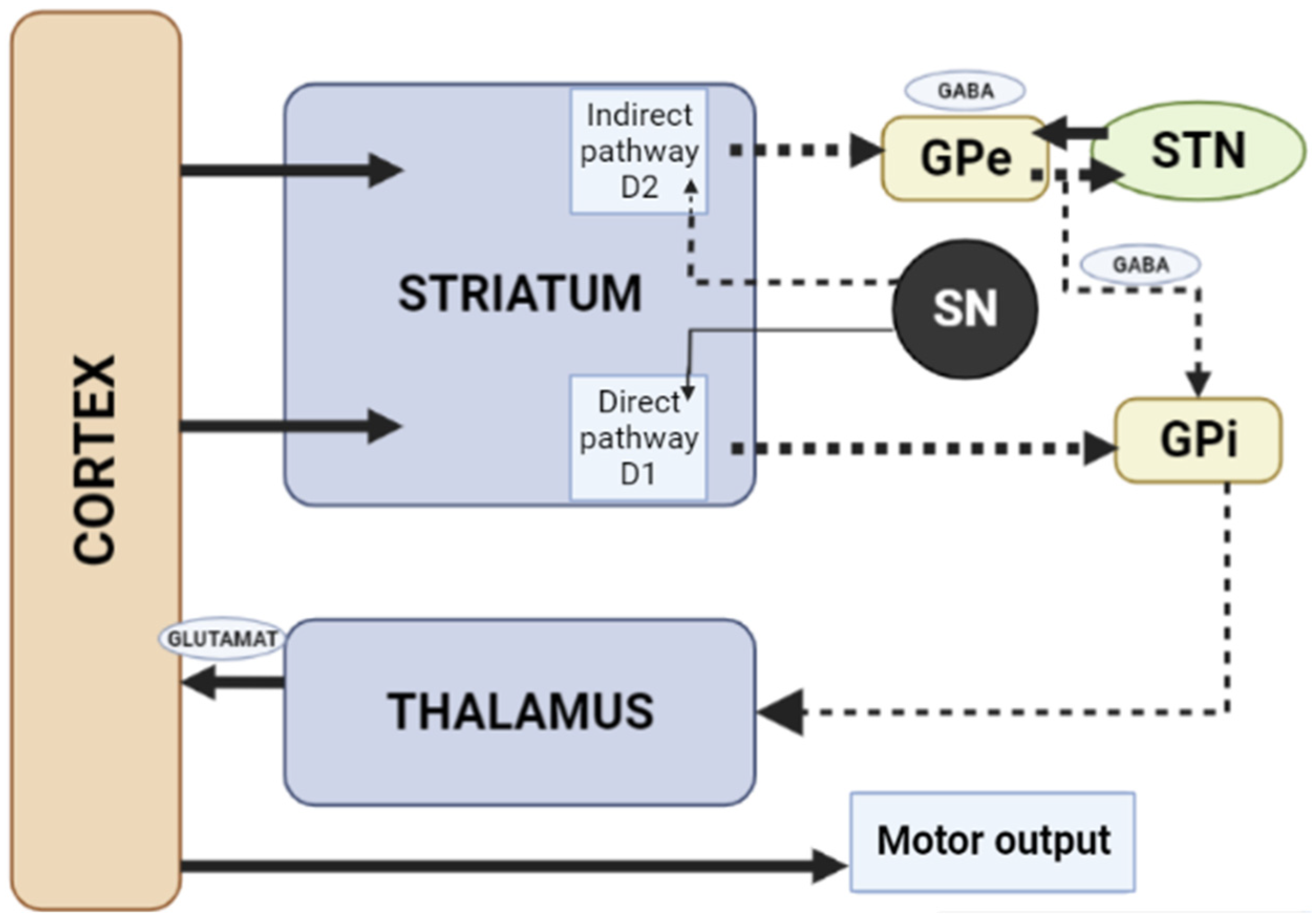 Biomedicines 10 02010 g003 Biomedicines 10 02010 g003
