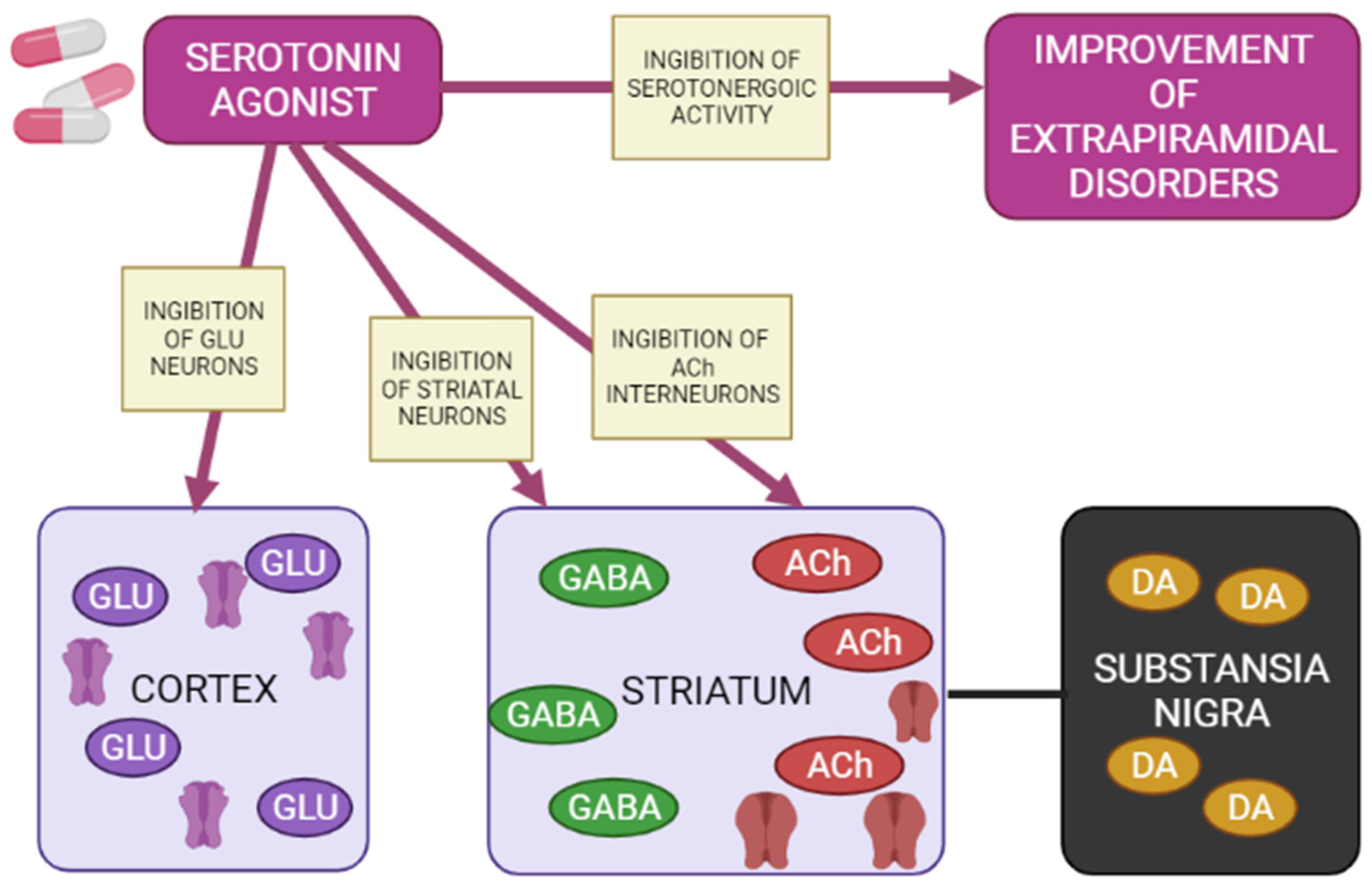 Biomedicines 10 02010 g005 Biomedicines 10 02010 g005