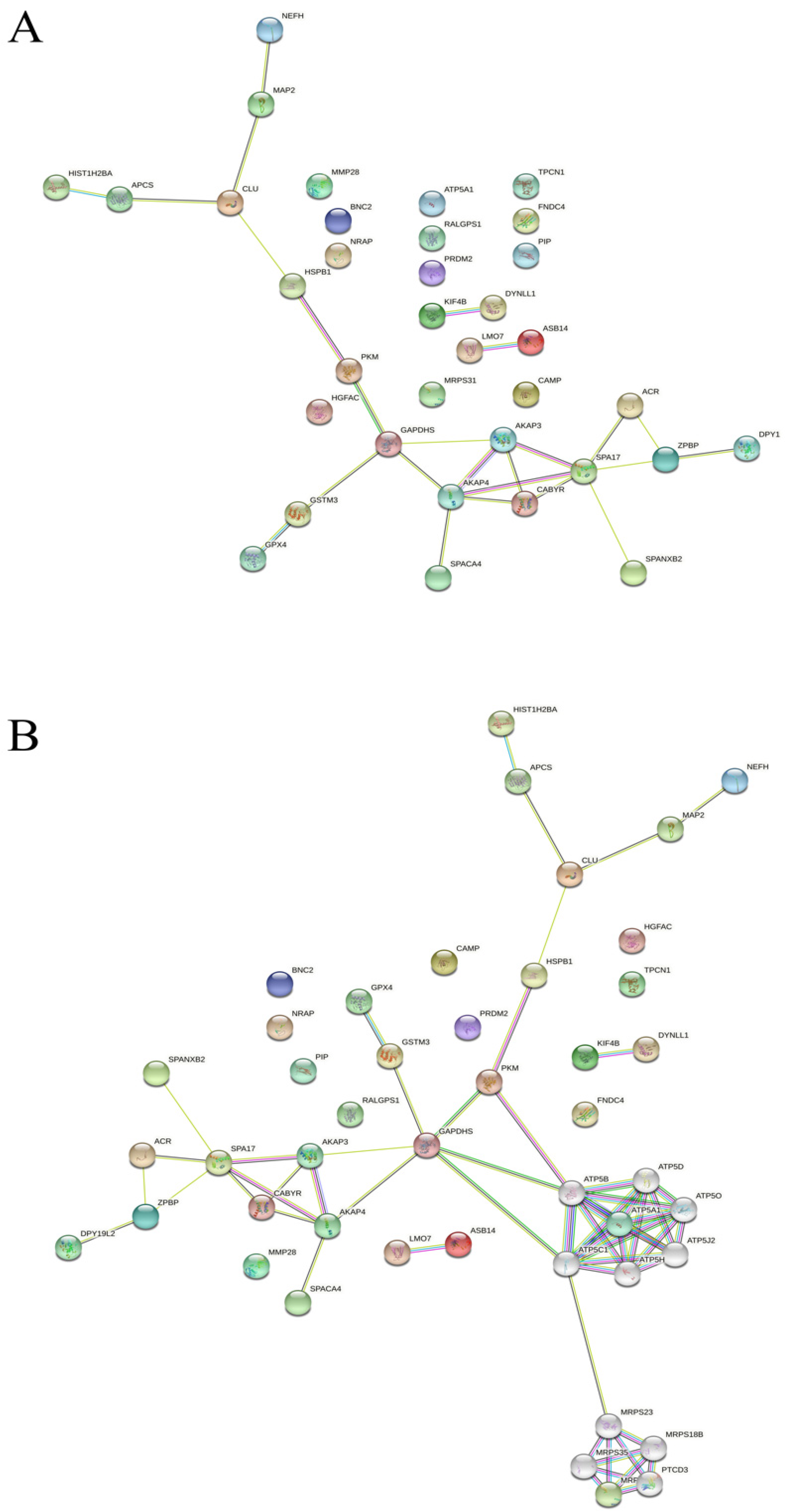 Biomedicines 10 02014 g002 Biomedicines 10 02014 g002
