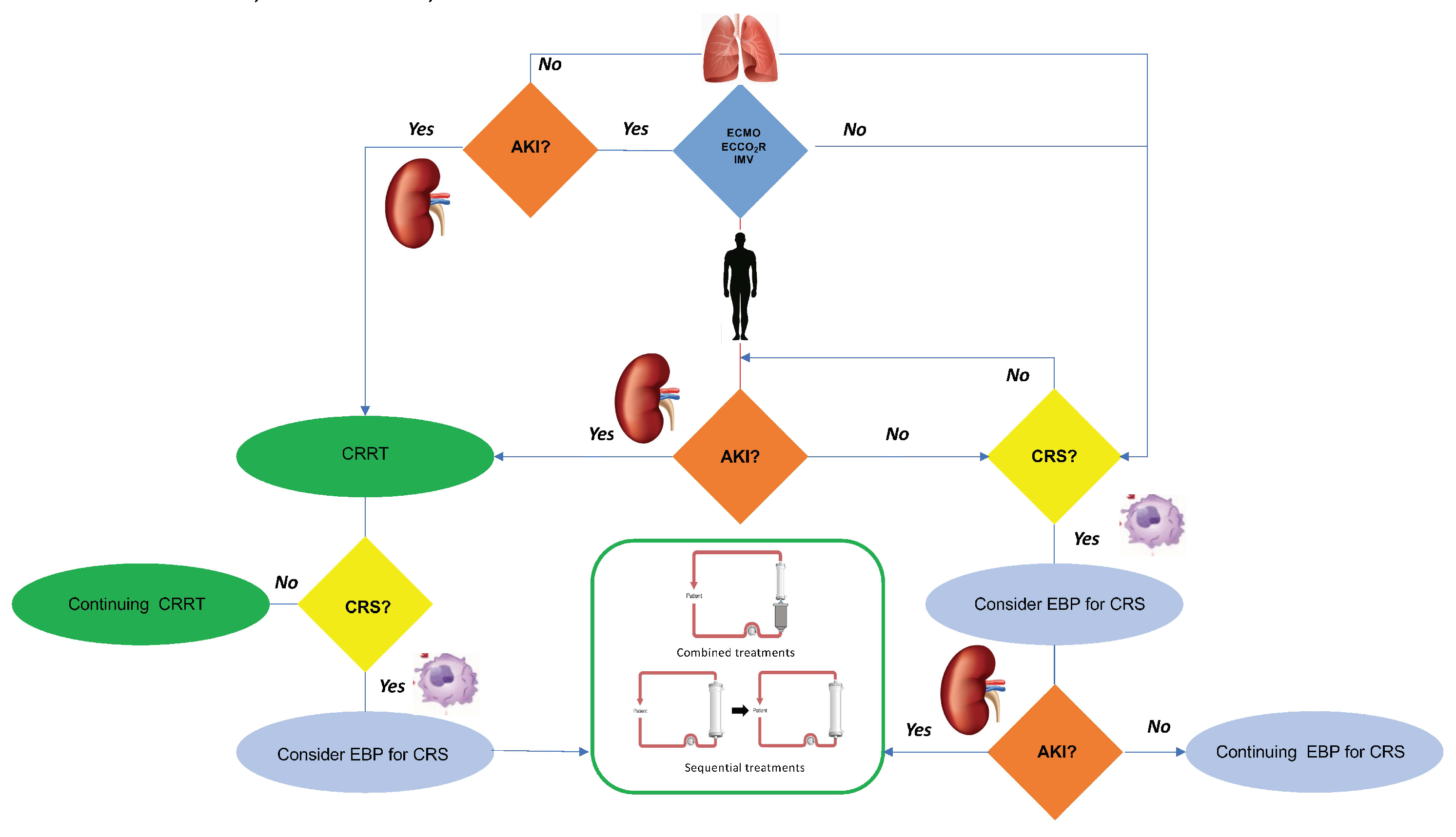 Biomedicines 10 02017 g006