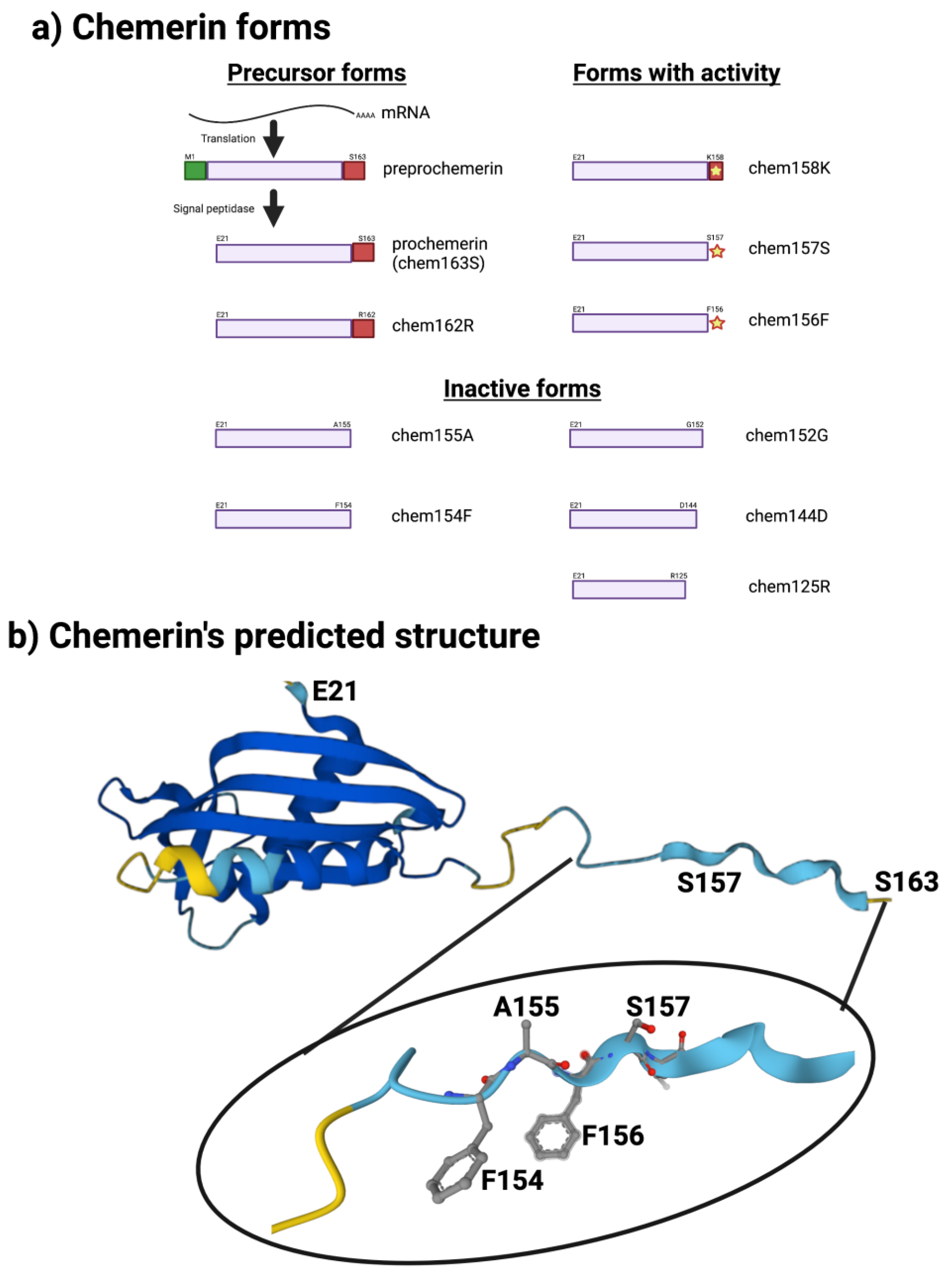 Biomedicines 10 02018 g001 550