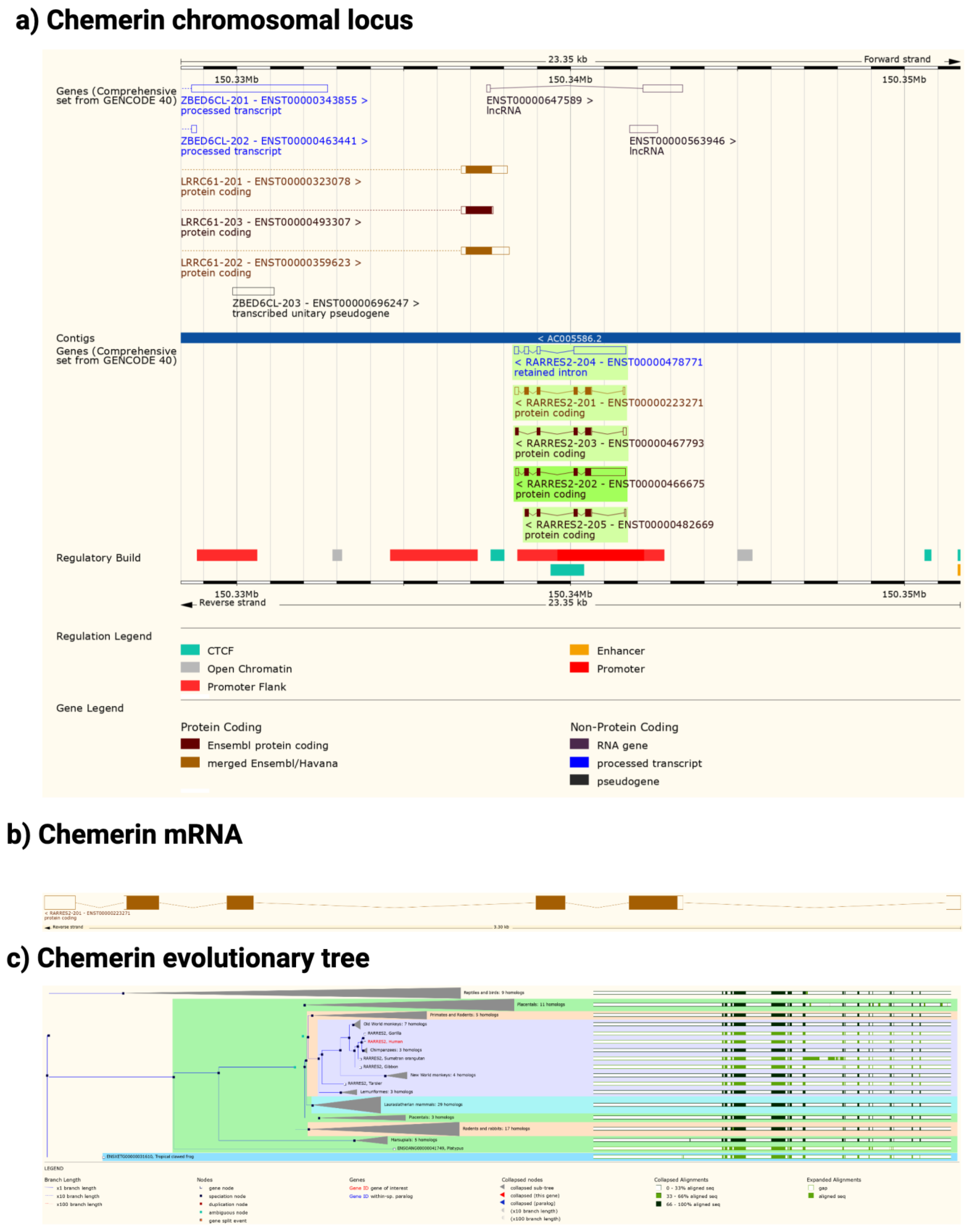 Biomedicines 10 02018 g002 550