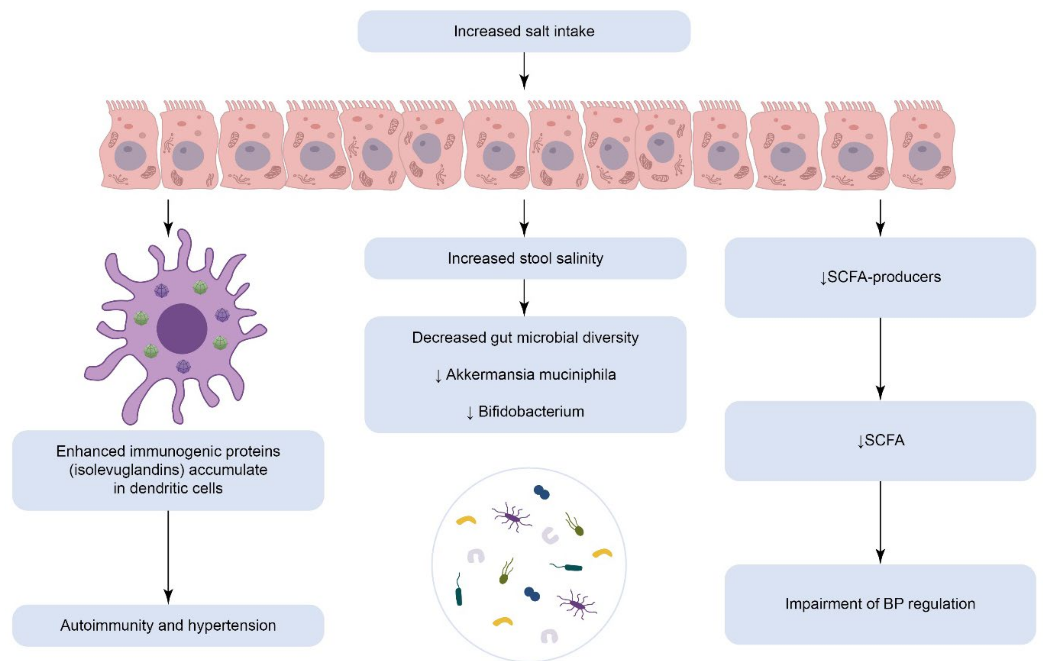 Biomedicines 10 02019 g001 550