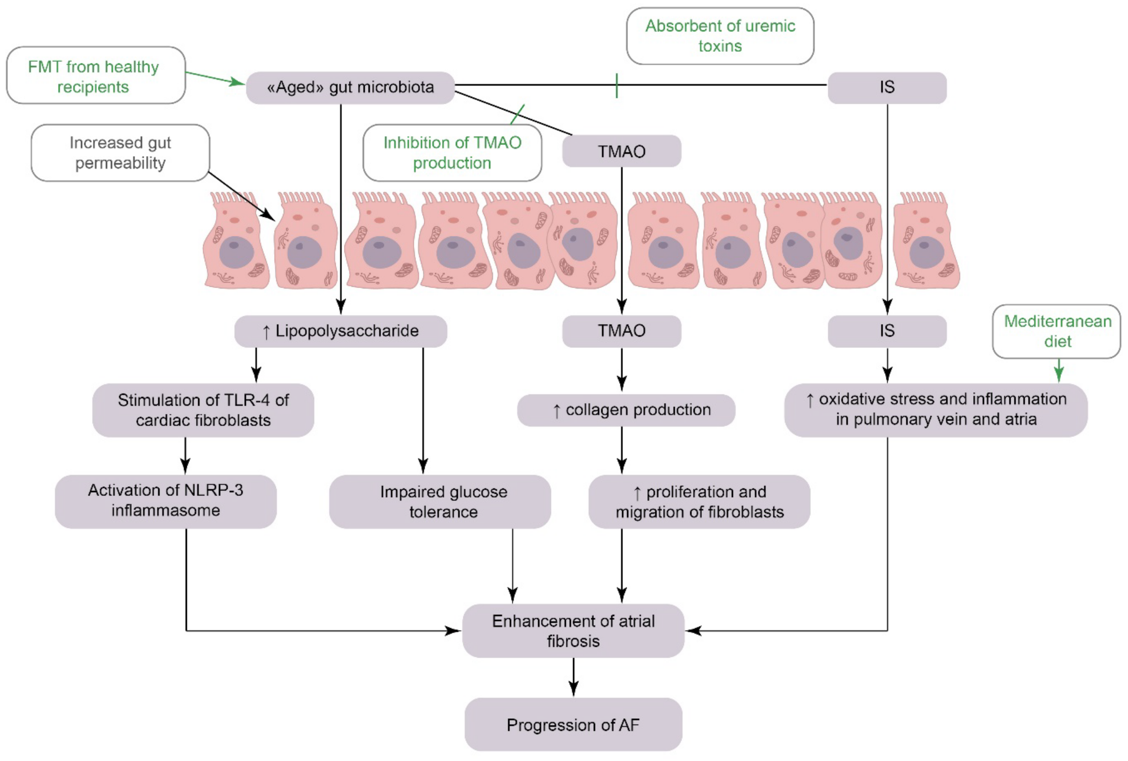 Biomedicines 10 02019 g002 550