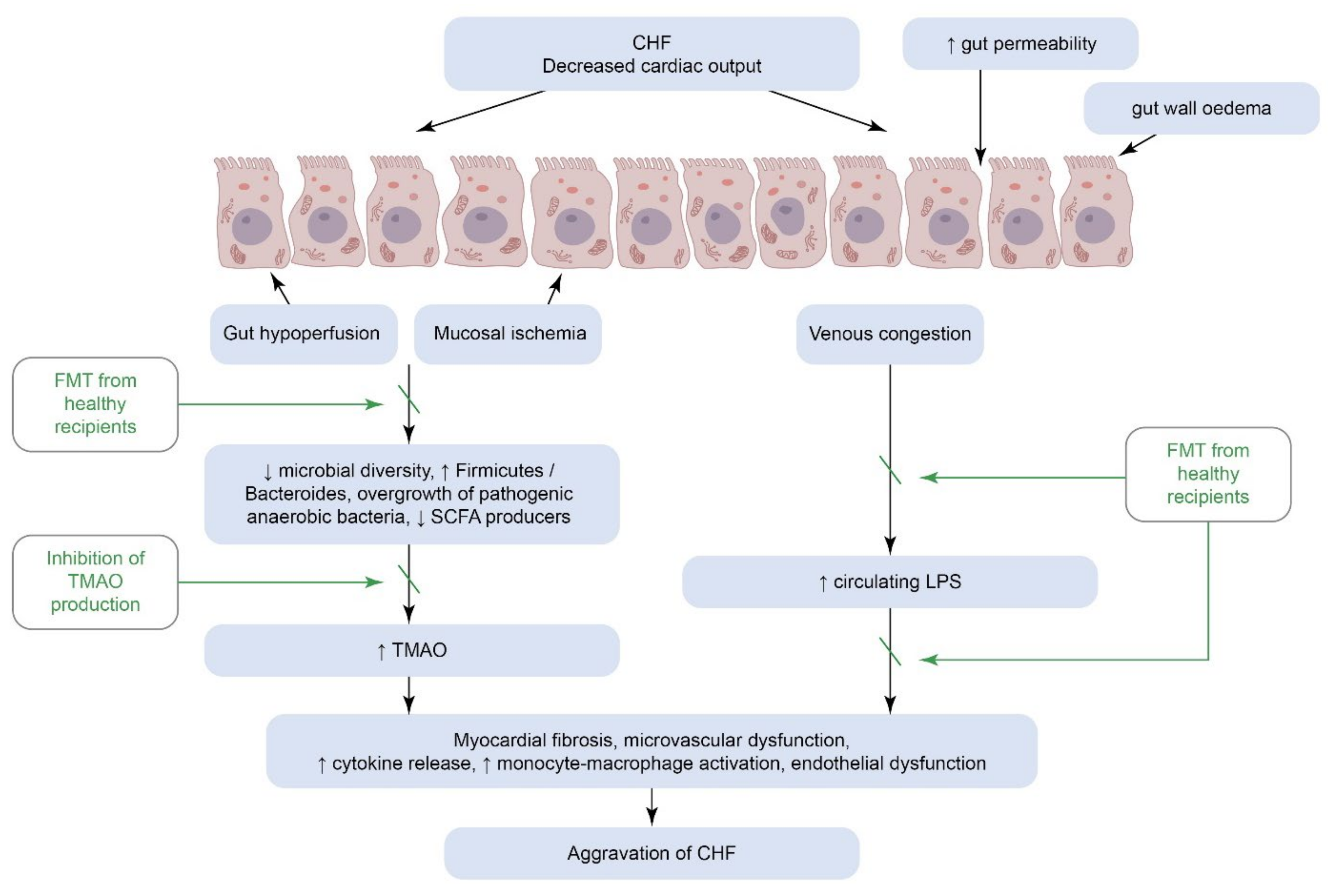 Biomedicines 10 02019 g003 550