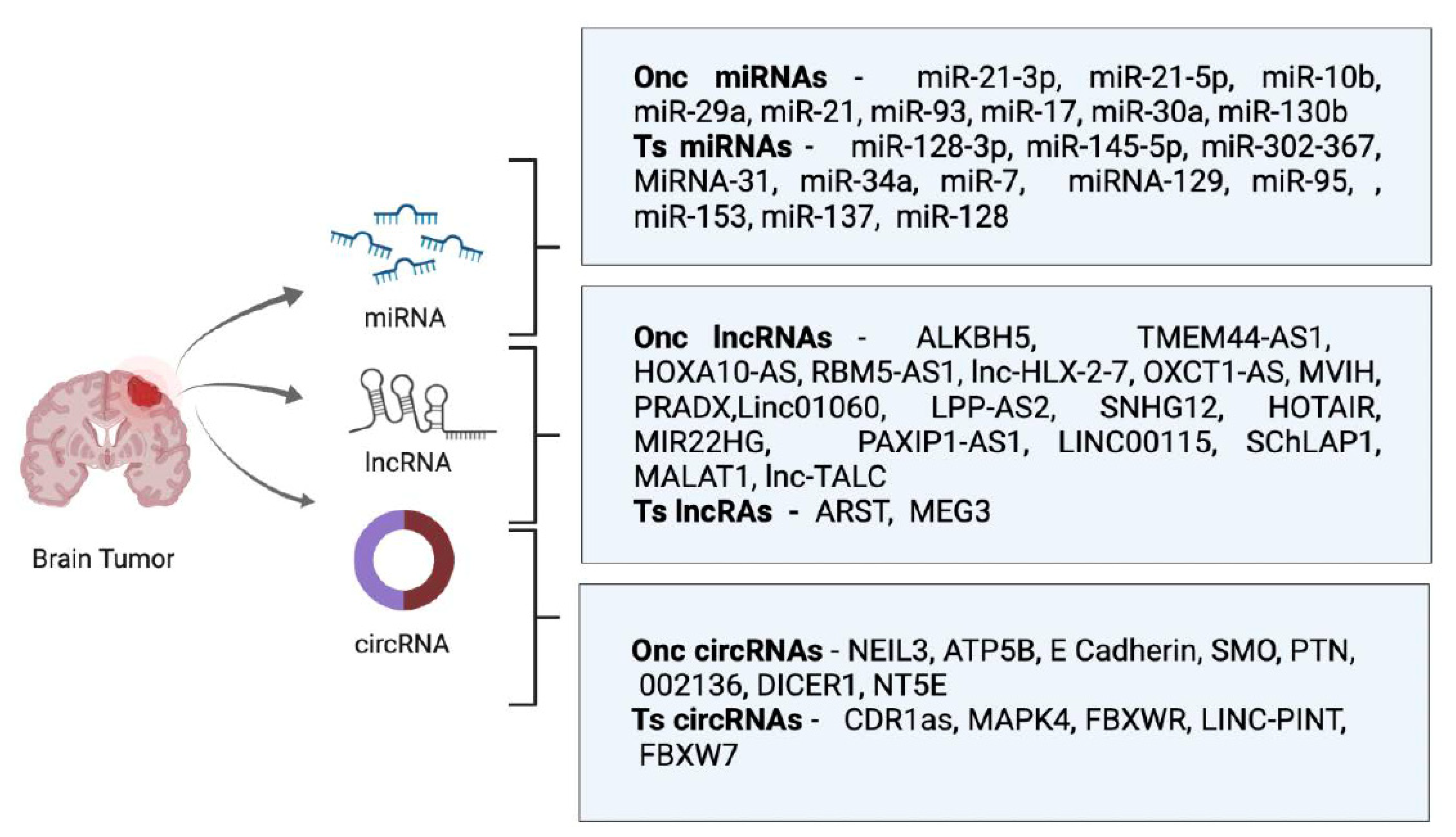 Biomedicines 10 02031 g001 Biomedicines 10 02031 g001