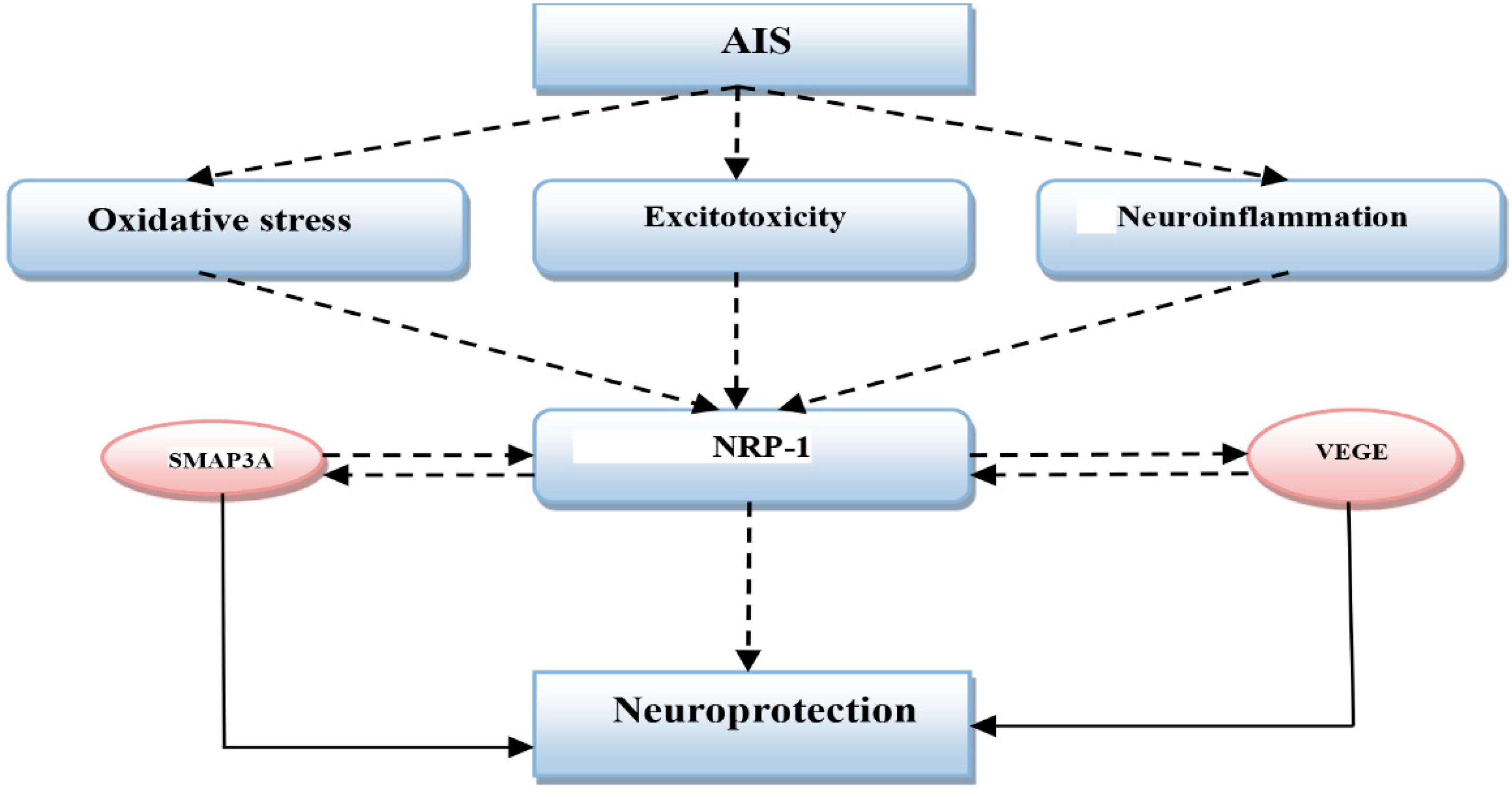 Biomedicines 10 02032 g003