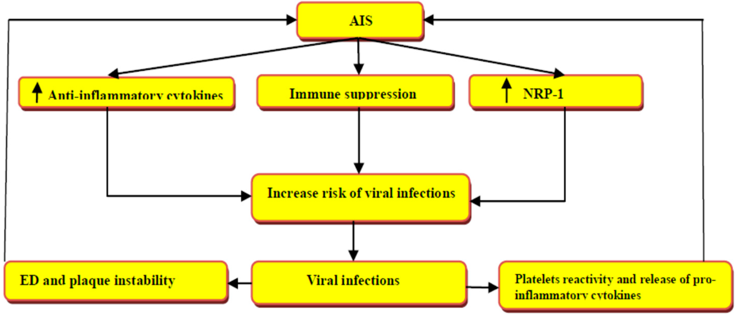 Biomedicines 10 02032 g004