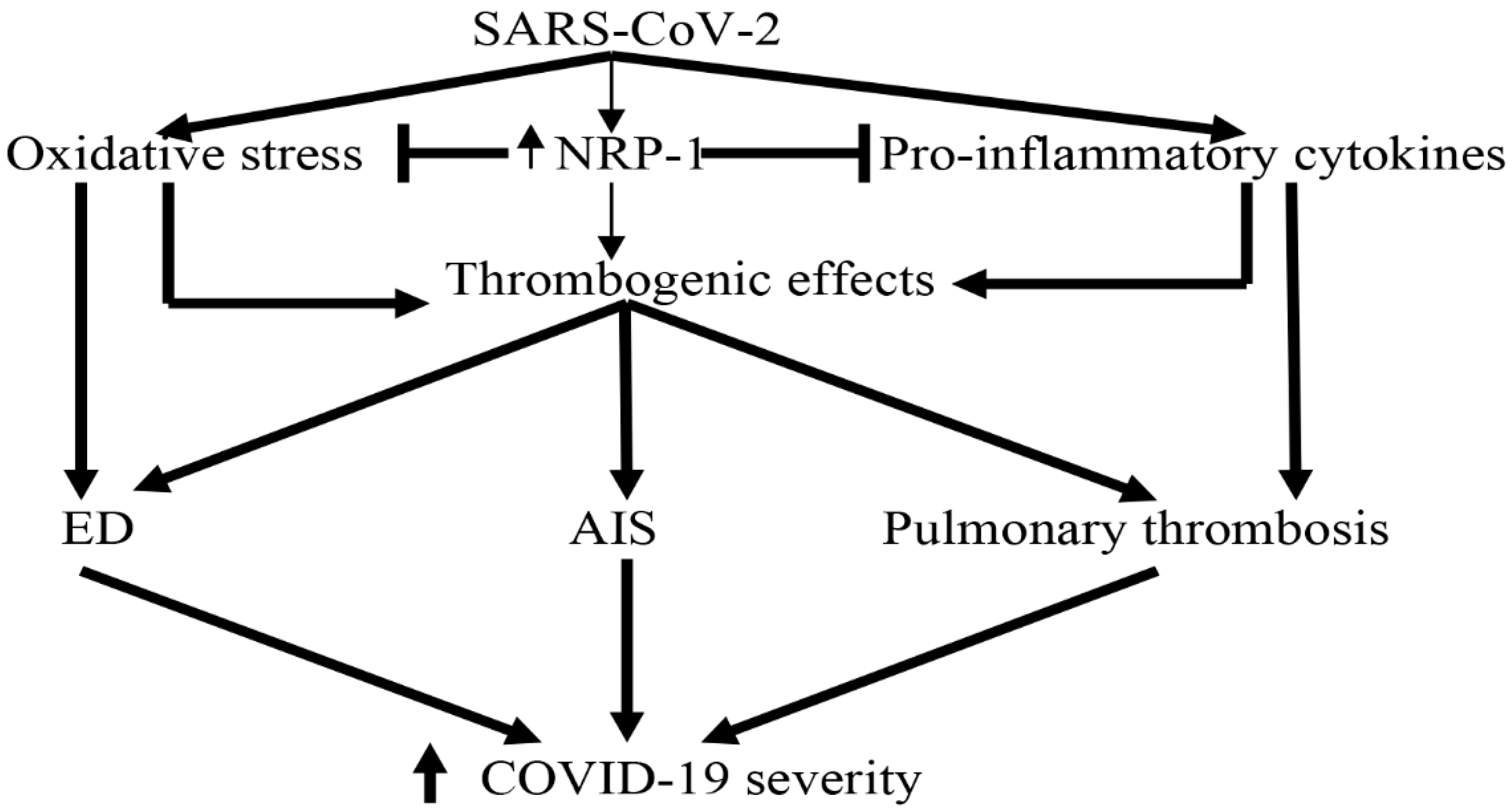 Biomedicines 10 02032 g010