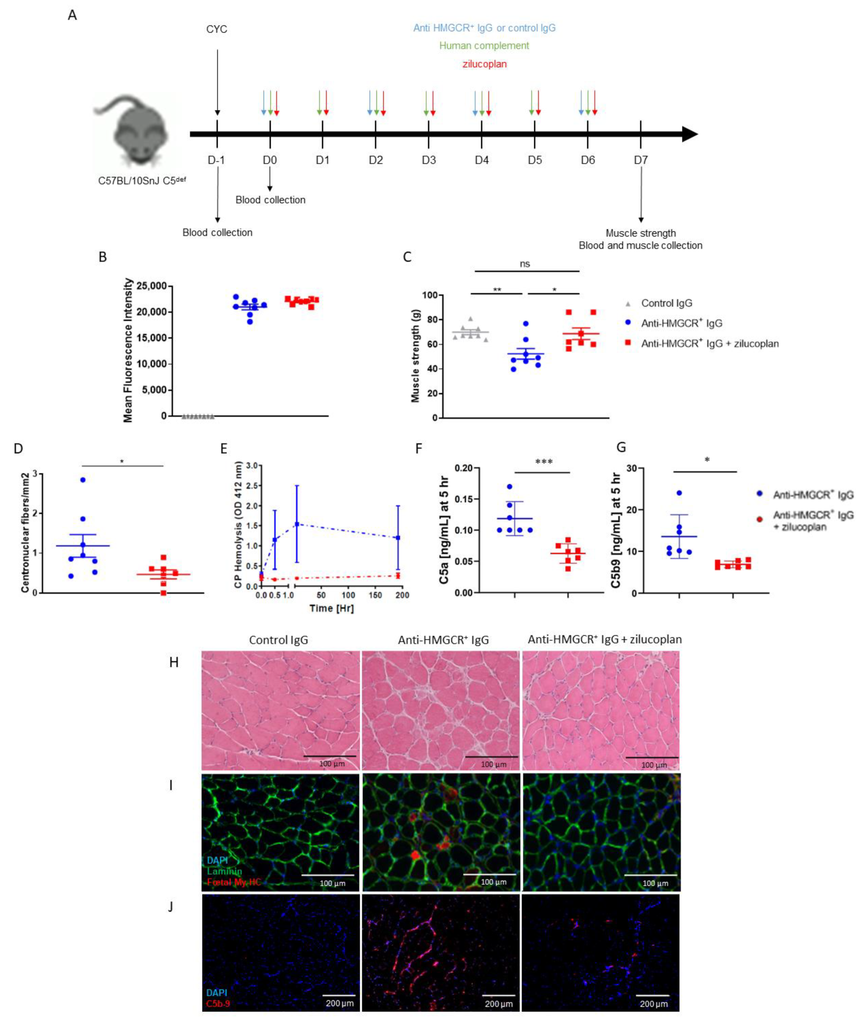 Biomedicines 10 02036 g001