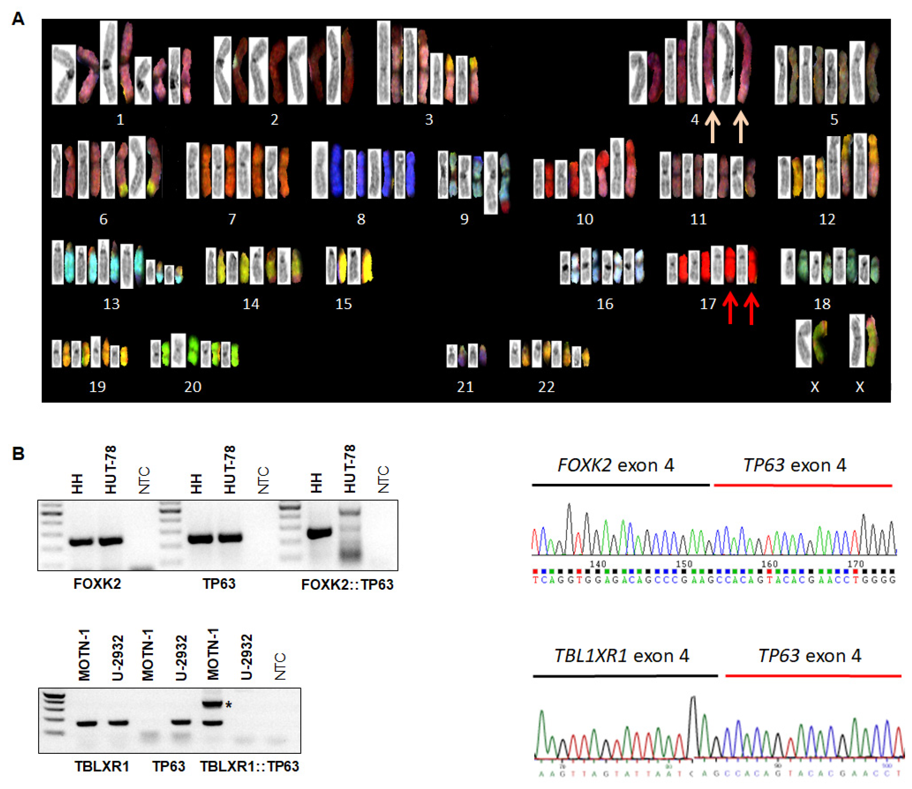 Biomedicines 10 02038 g001 Biomedicines 10 02038 g001